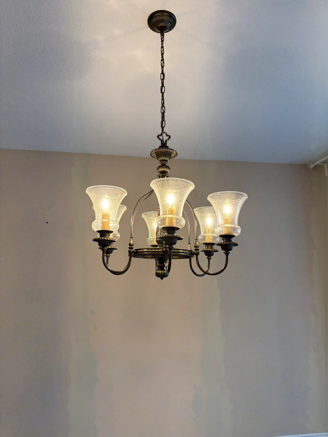 Antique Style 5-Light Chandelier with Glass Shades - photo 4
