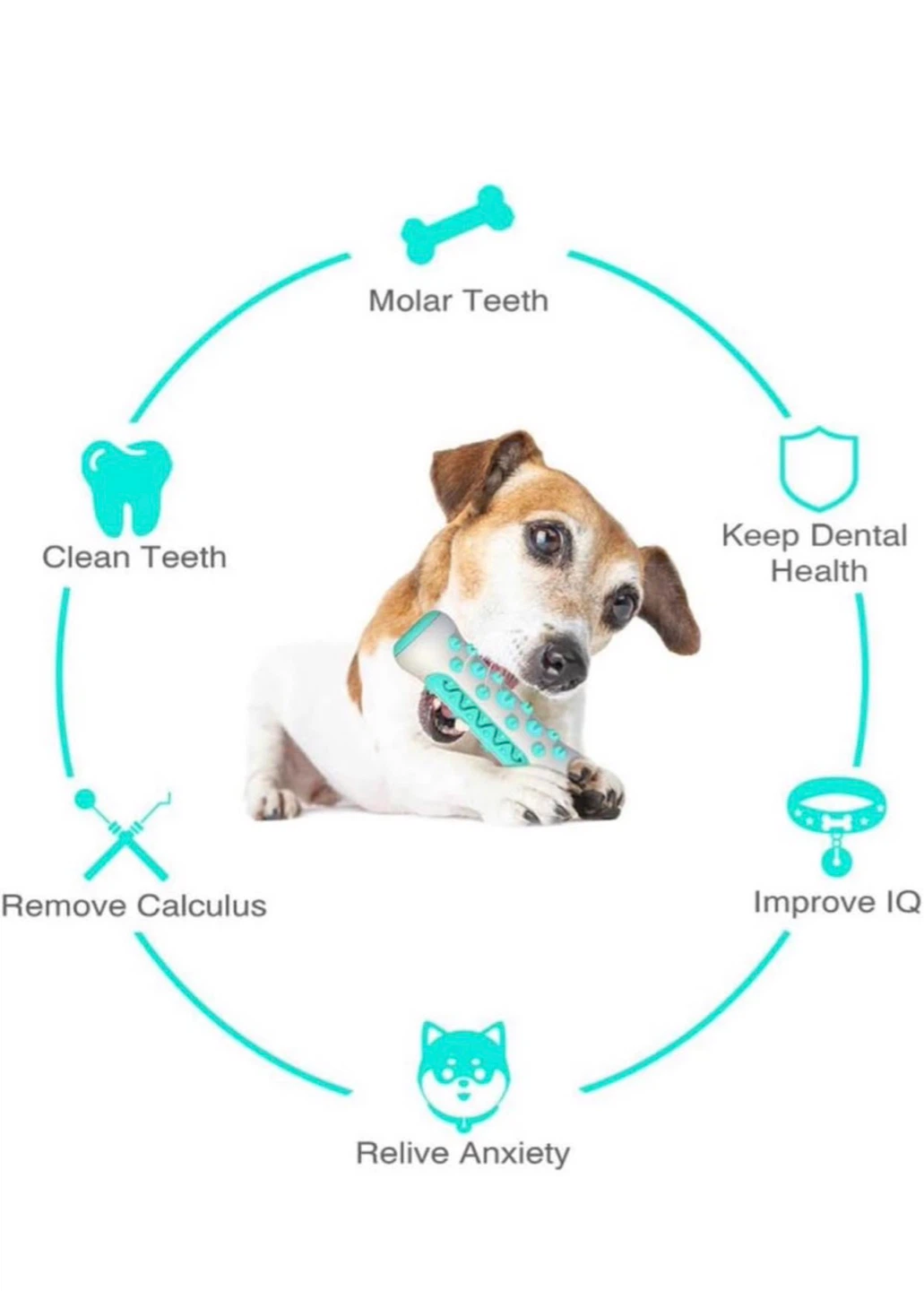 Dog Dental Chew Toy - photo 2