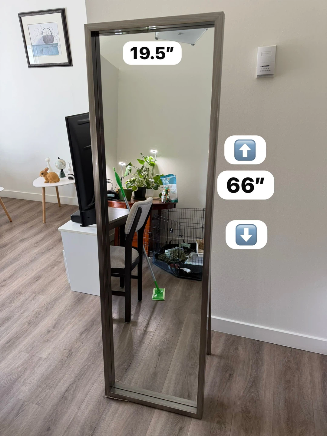 Full Length Mirror - 19.5" x 66"