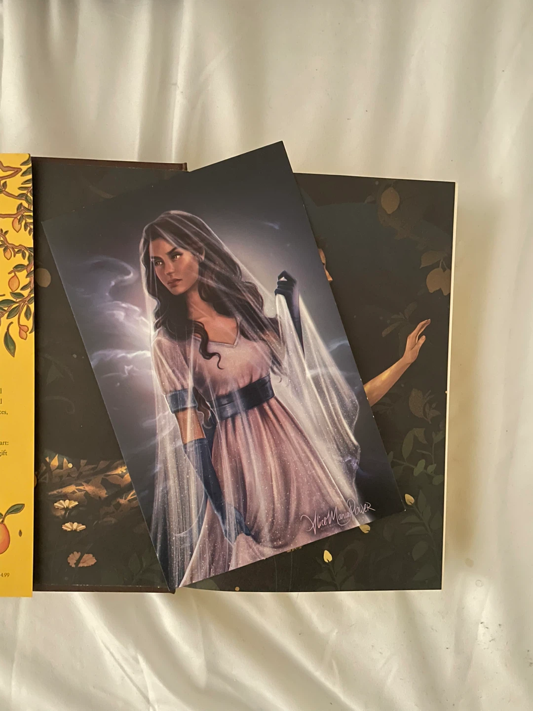 This vicious grace fairy loot edition - photo 2