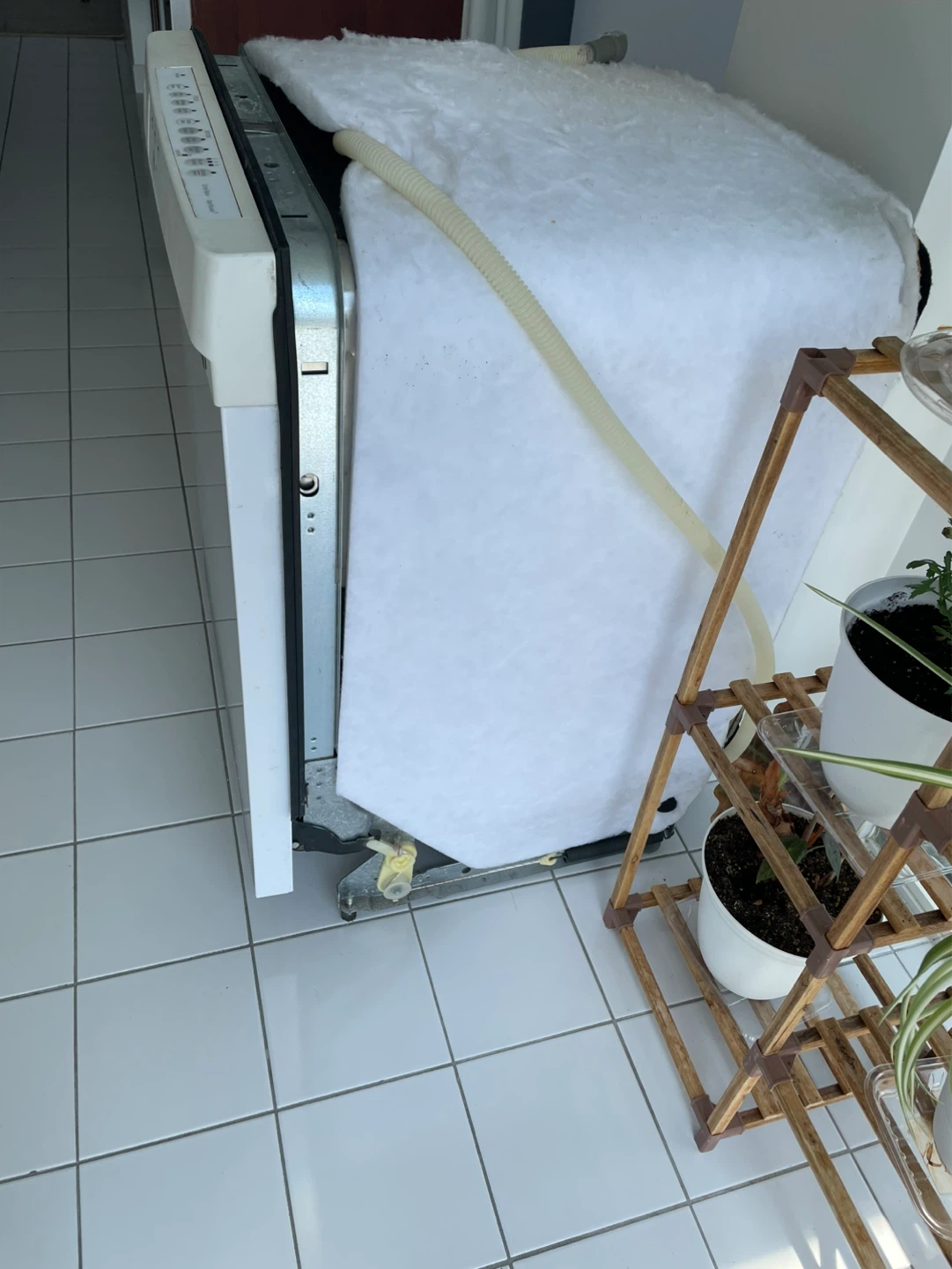 Kenmore Dishwasher - photo 4