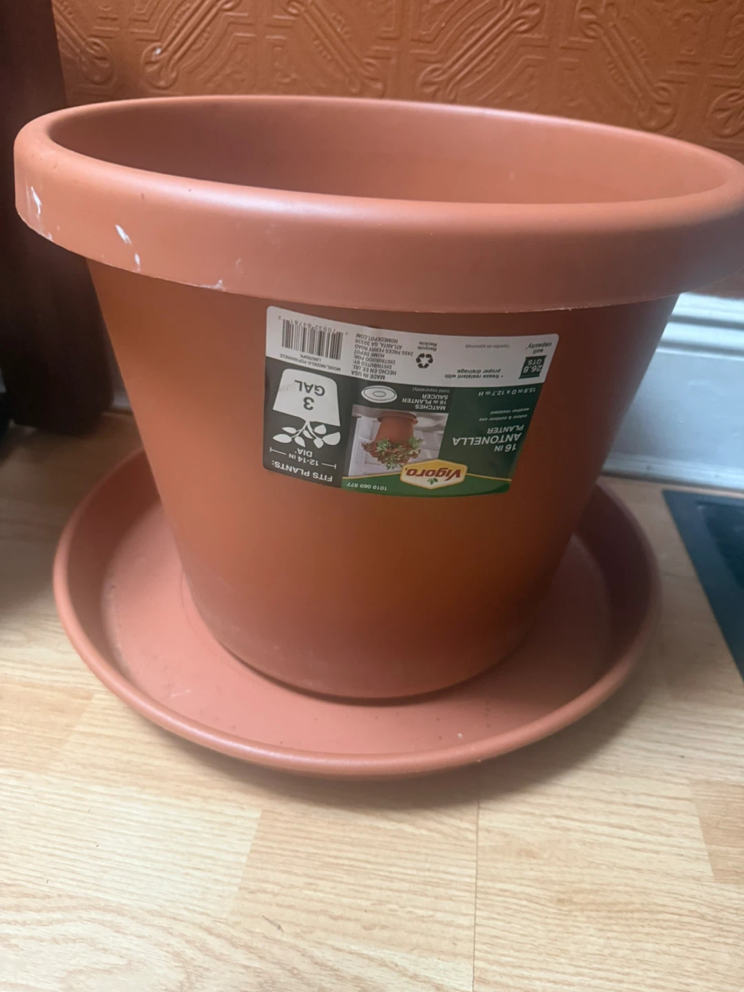 Vigoro Antonella 16" Planter with Saucer - 3 Gallon