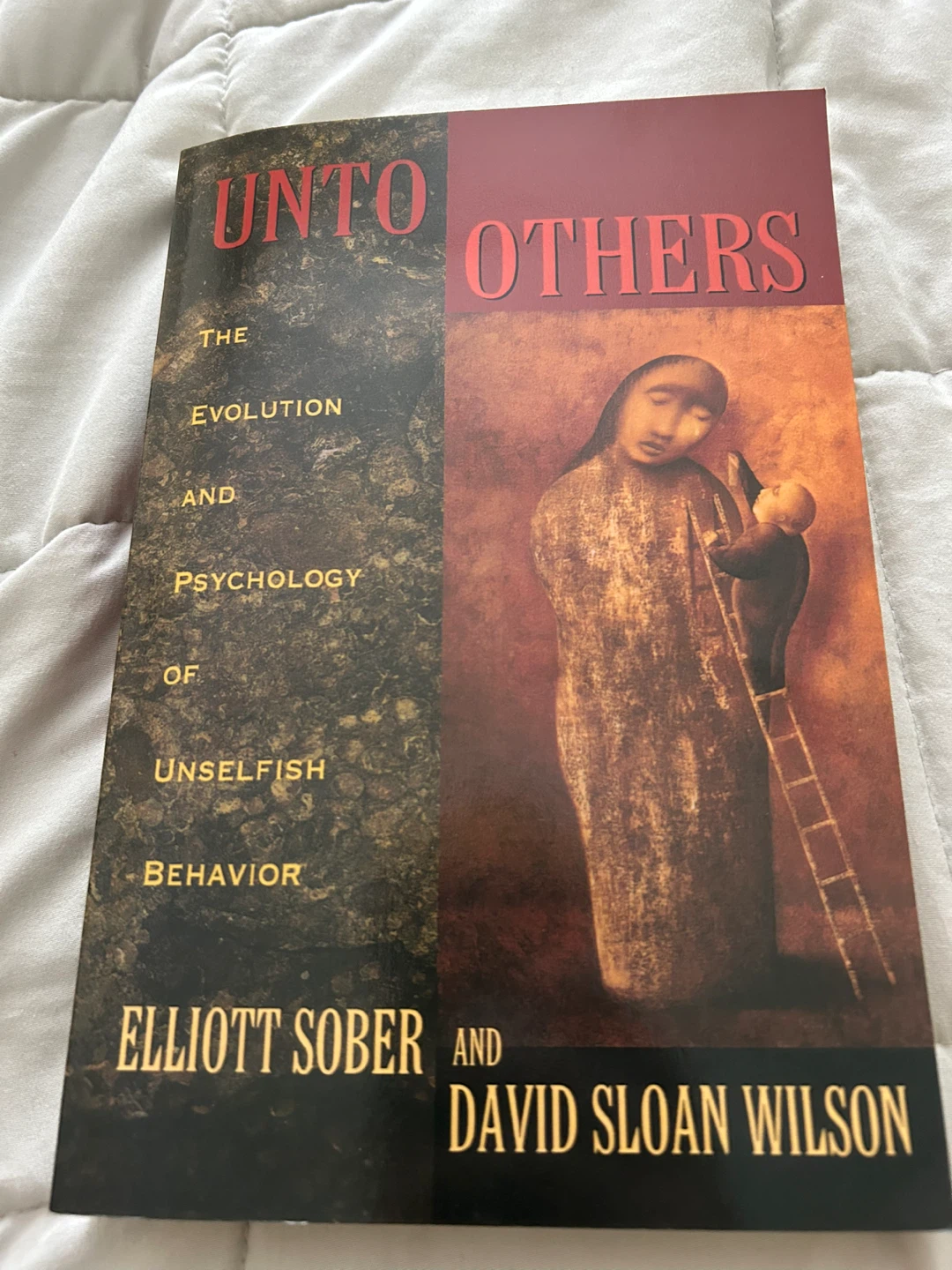 Books - photo 2