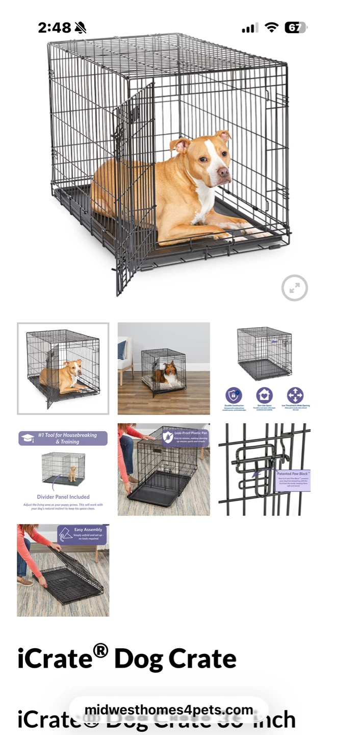 36 inch dog crate + accessories
