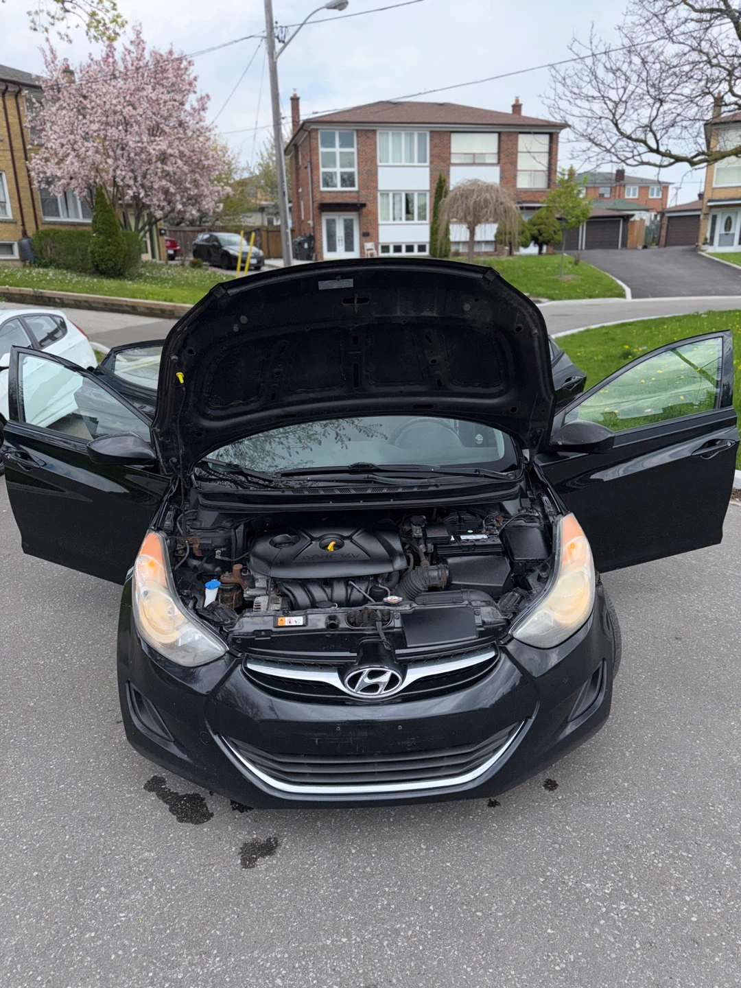 2013 Hyundai Elantra - photo 5