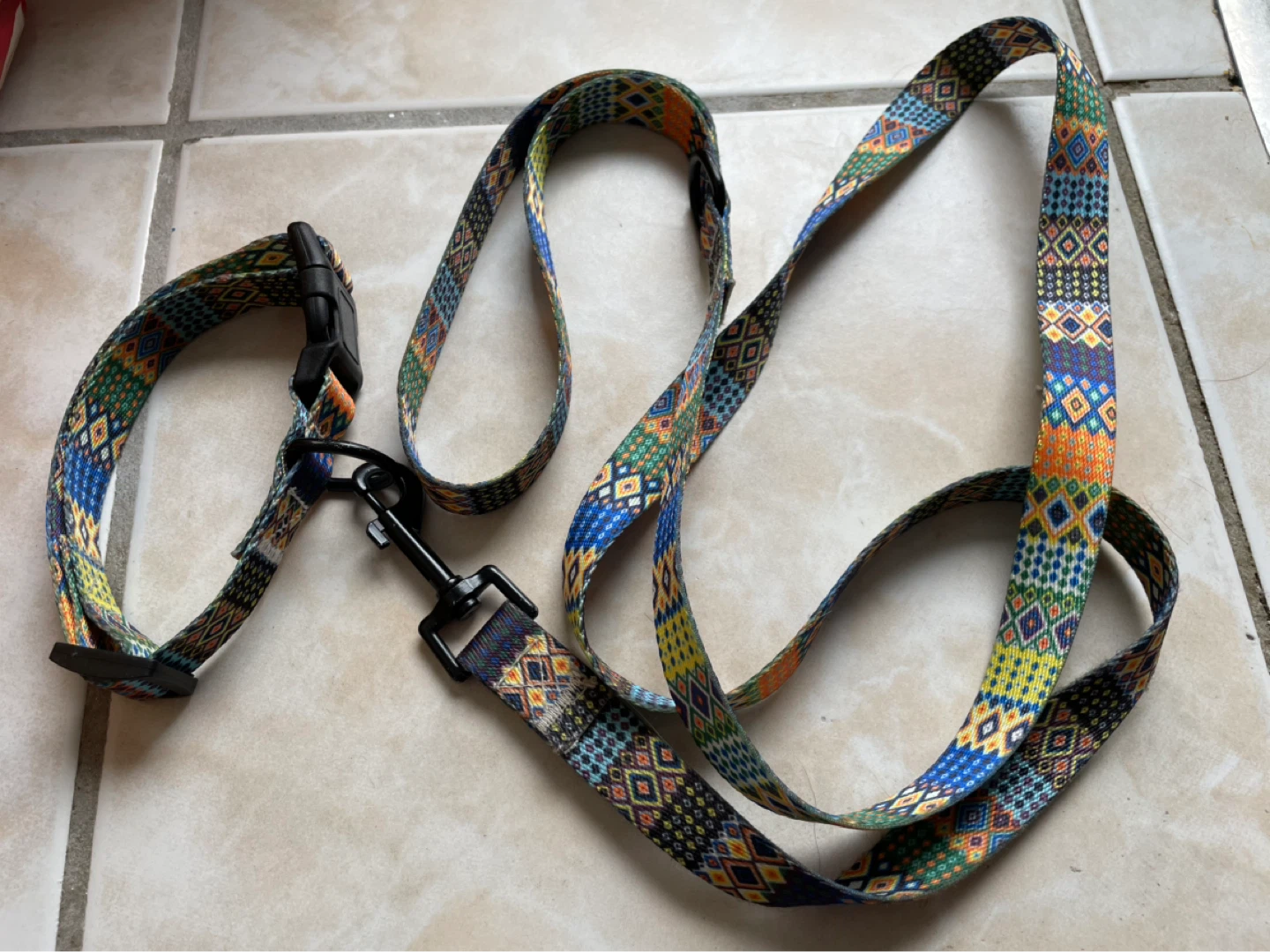 Small Dog Matching Collar & Leash