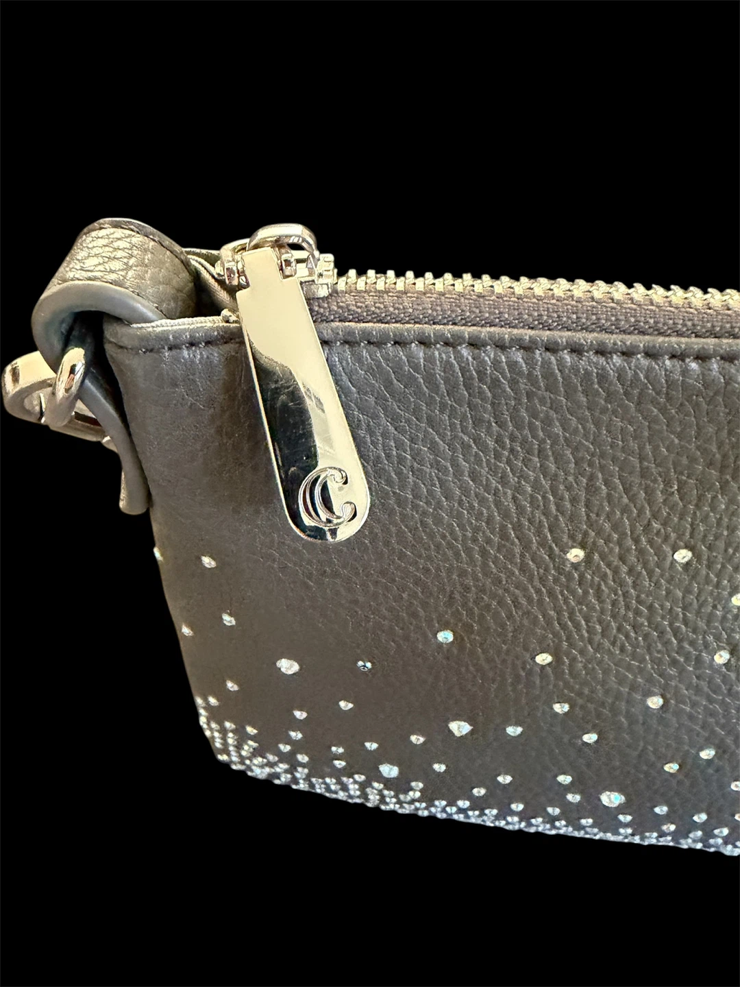 Charming Charlie bag