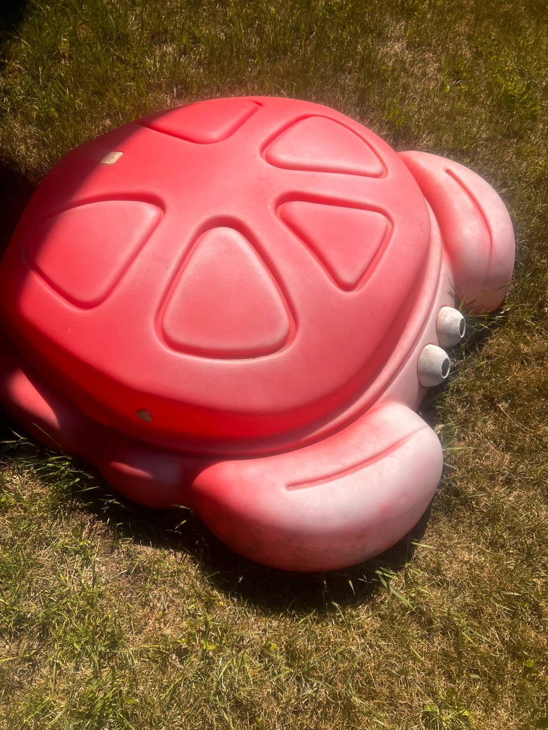 Red Turtle Sandbox with Lid