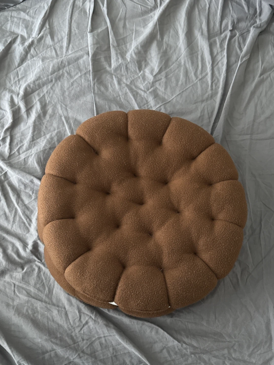 Cookie Cushion Pillow