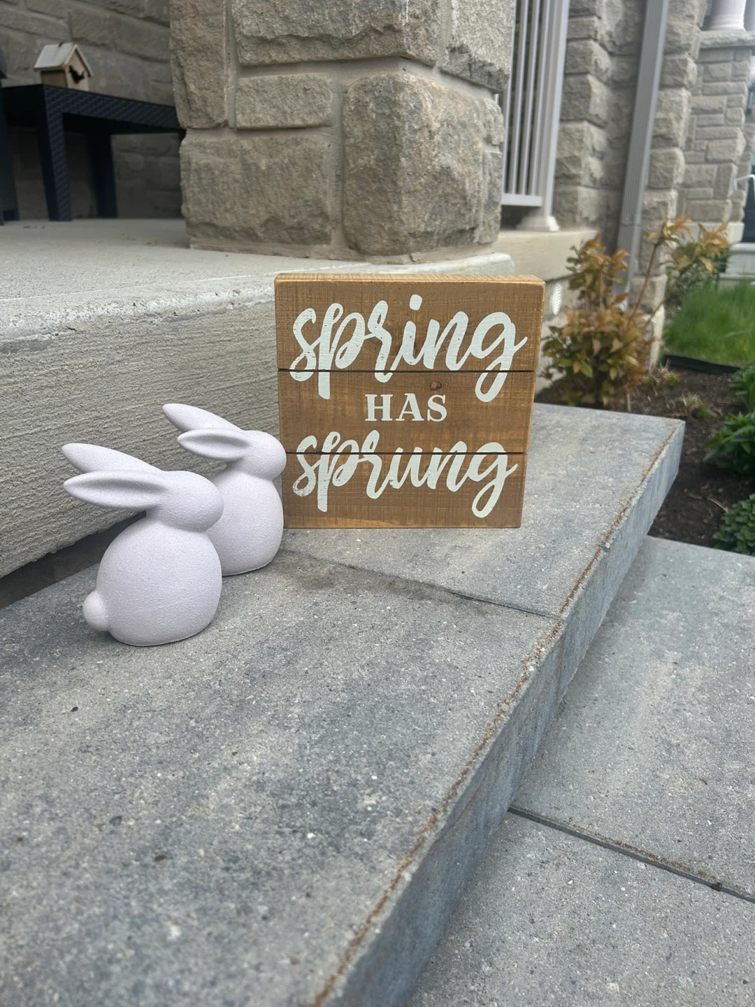 Spring Has Sprung Wooden Sign & Bunny Decor Set - photo 2