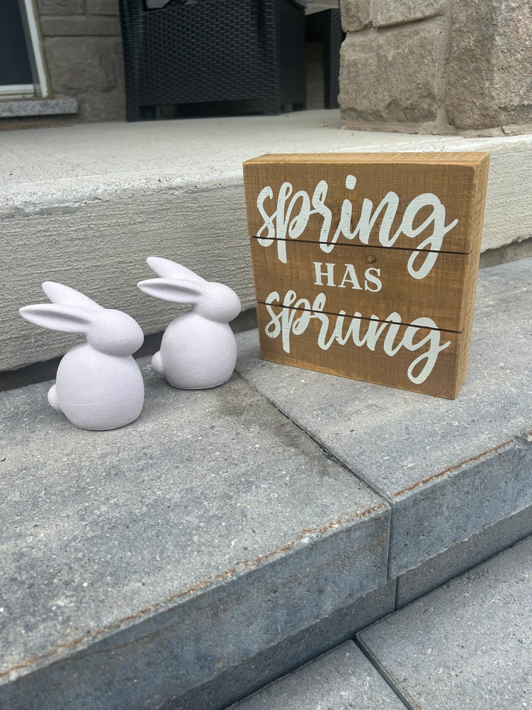 Spring Has Sprung Wooden Sign & Bunny Decor Set