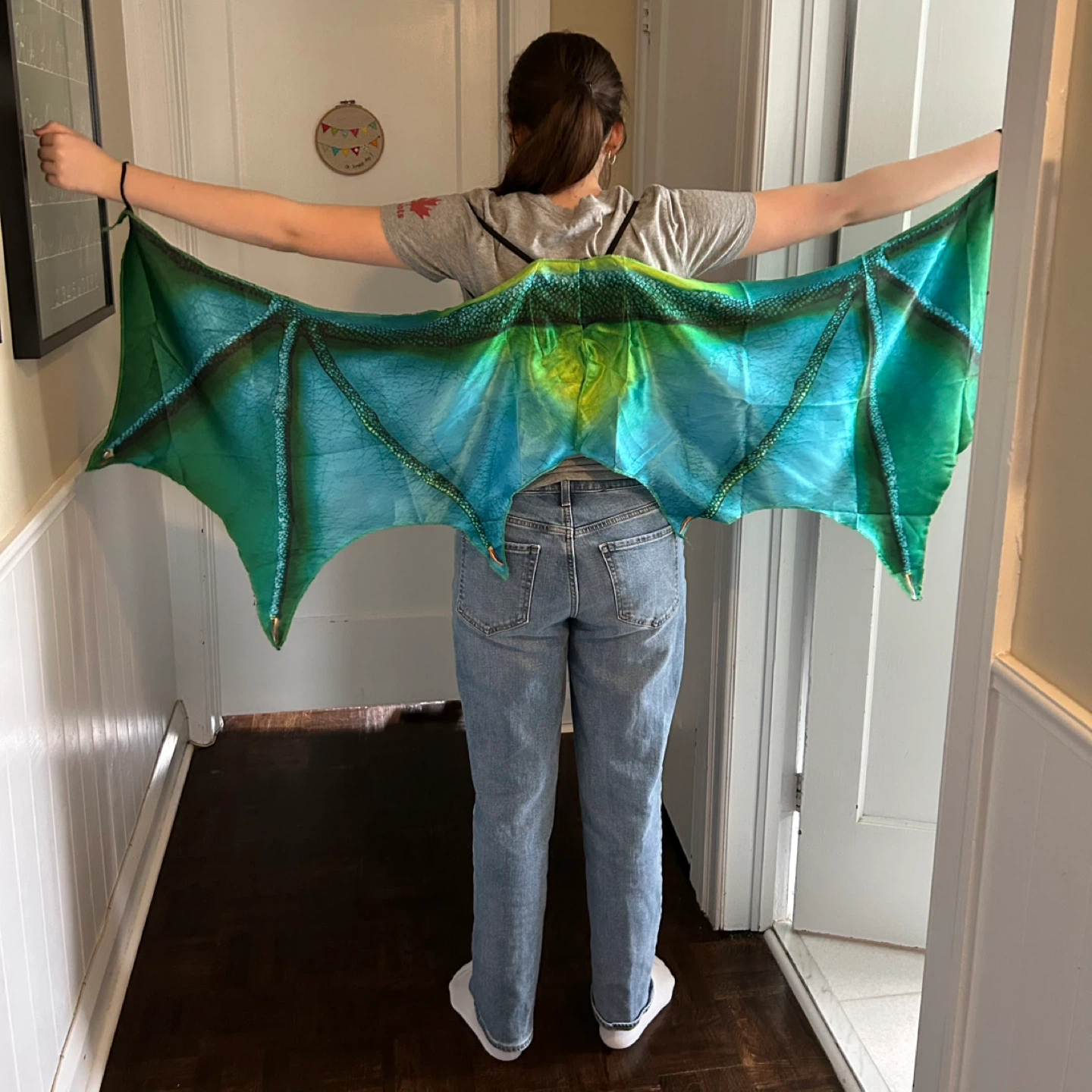 Dragon Wings Costume Accessory