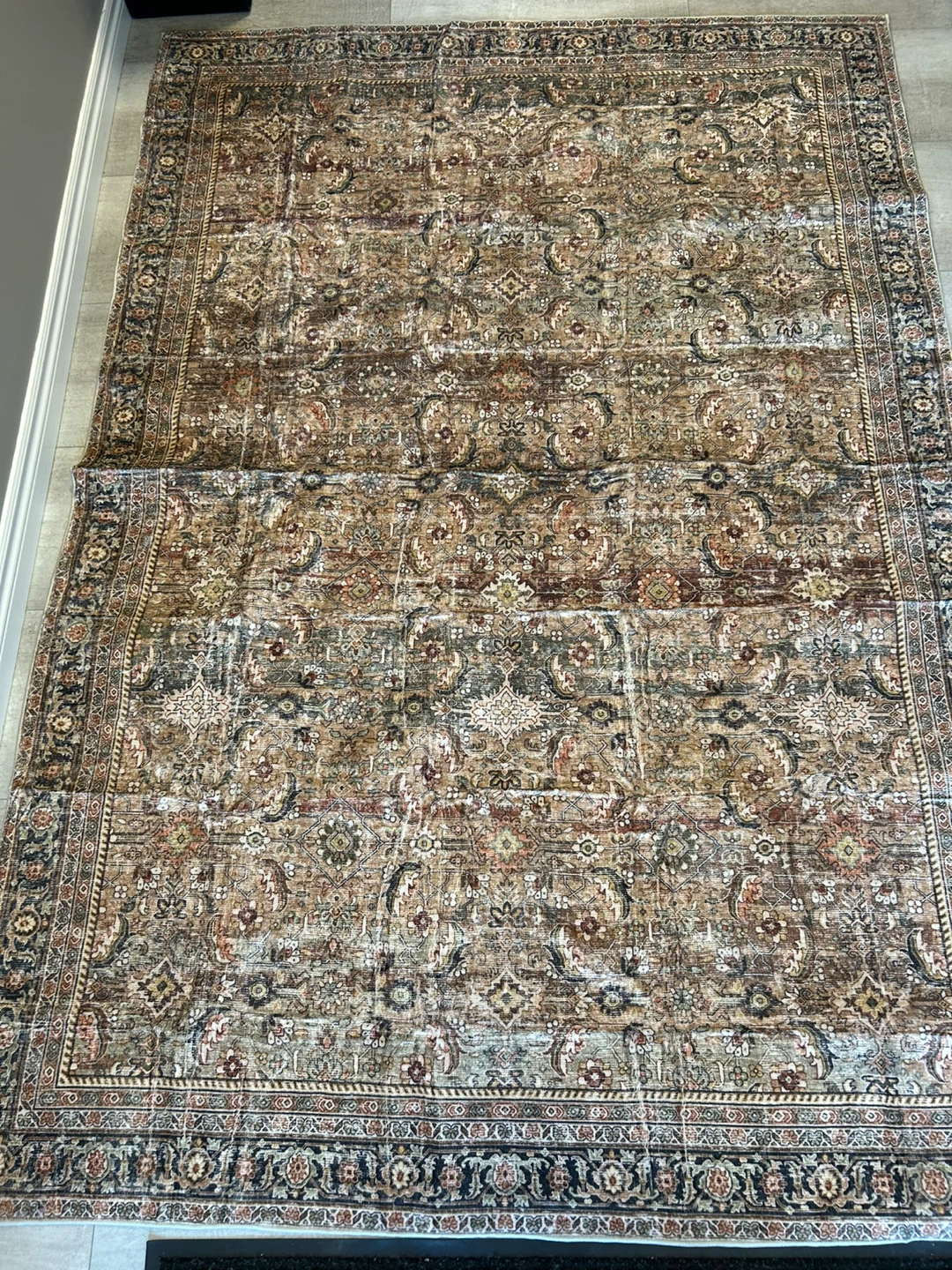 BERTHMEER Area Rug 5'x7'