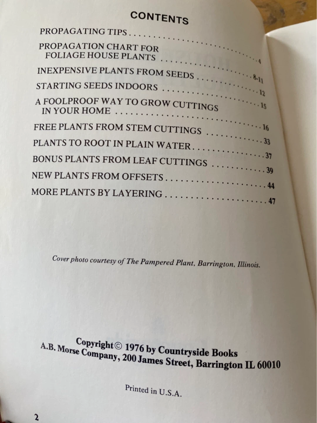 1976 Houseplant Multiplying - photo 3