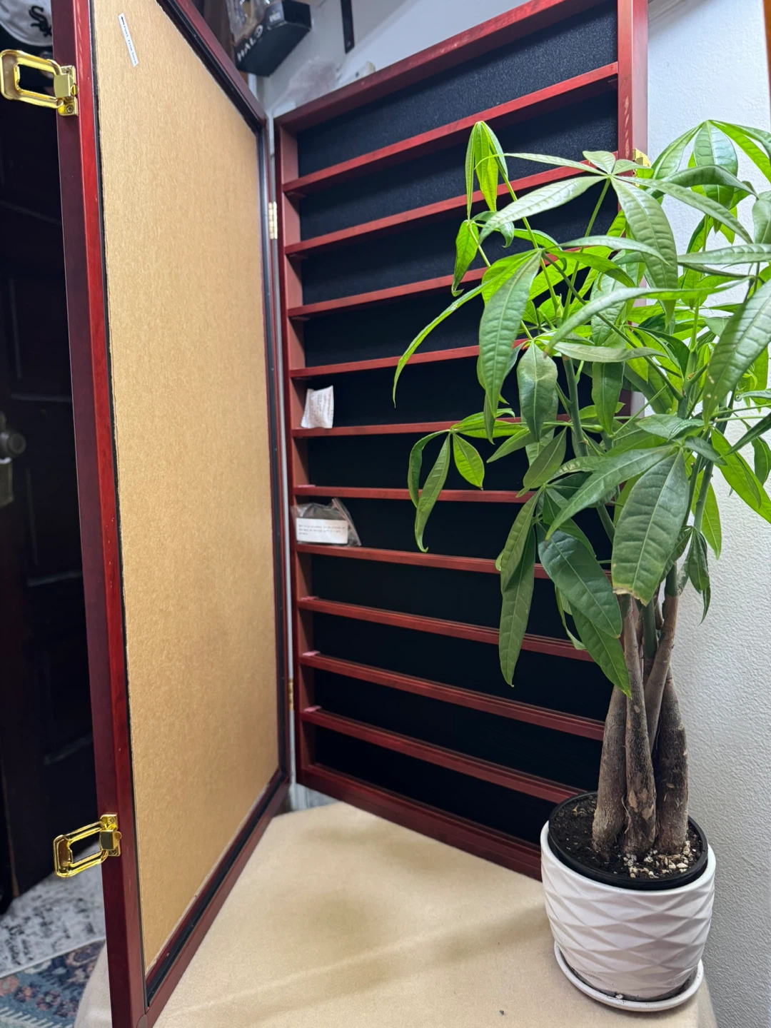 ⭐️Display Cabinet for Challenge Coins, ⭐️⭐️