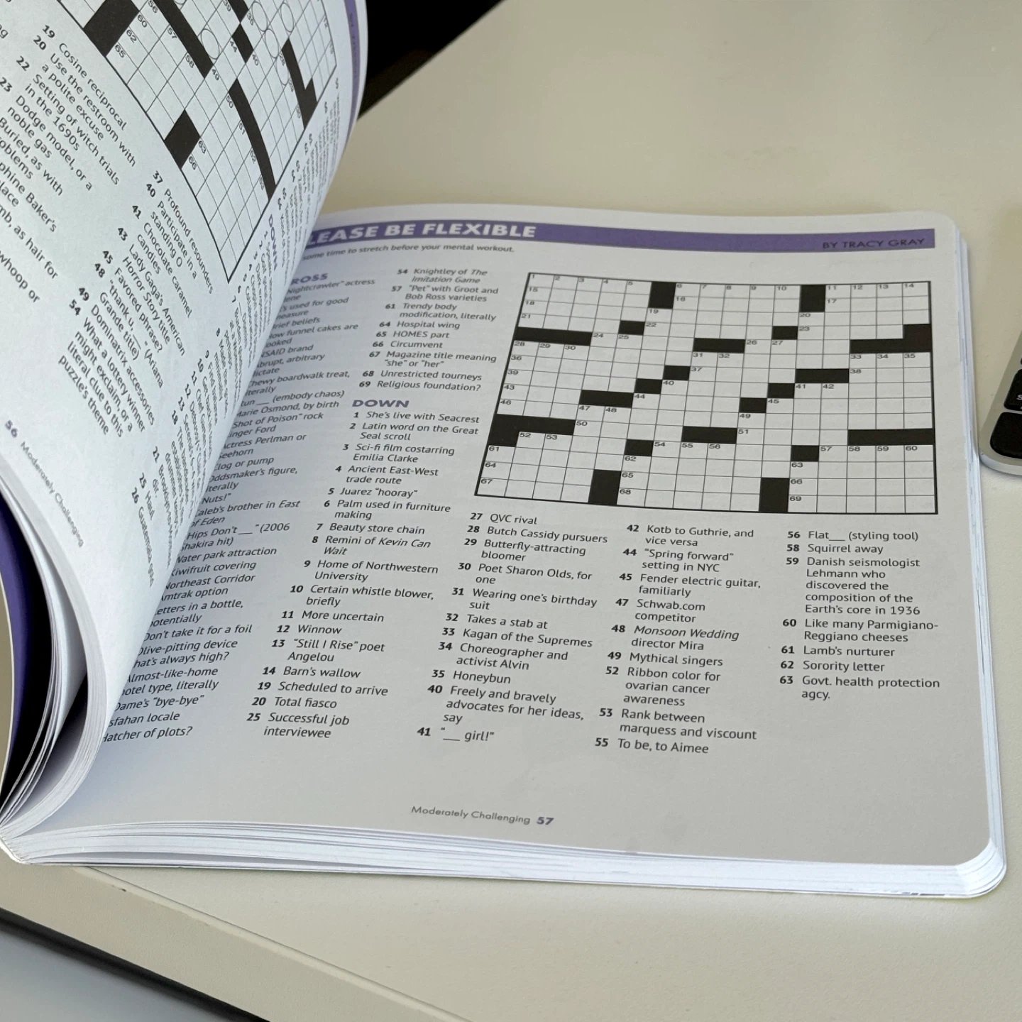 Inkibator Crosswords: 100 Audacious Puzzles - photo 4