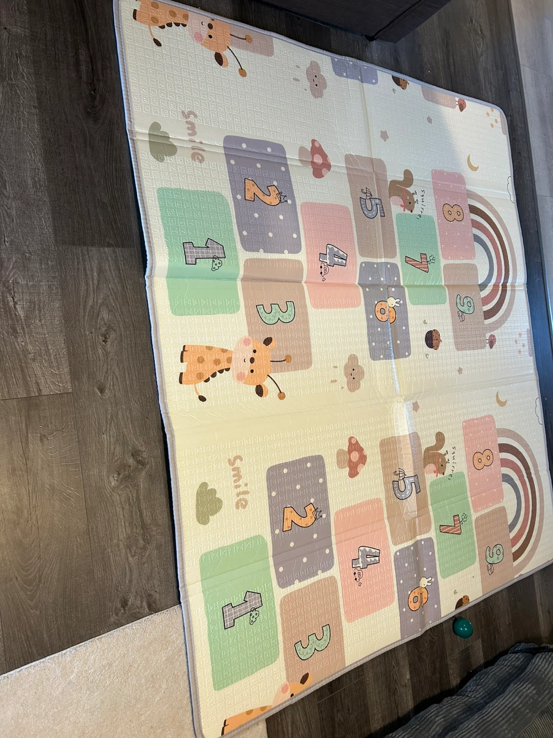 Extra Large Baby Play Mat -EasyClean