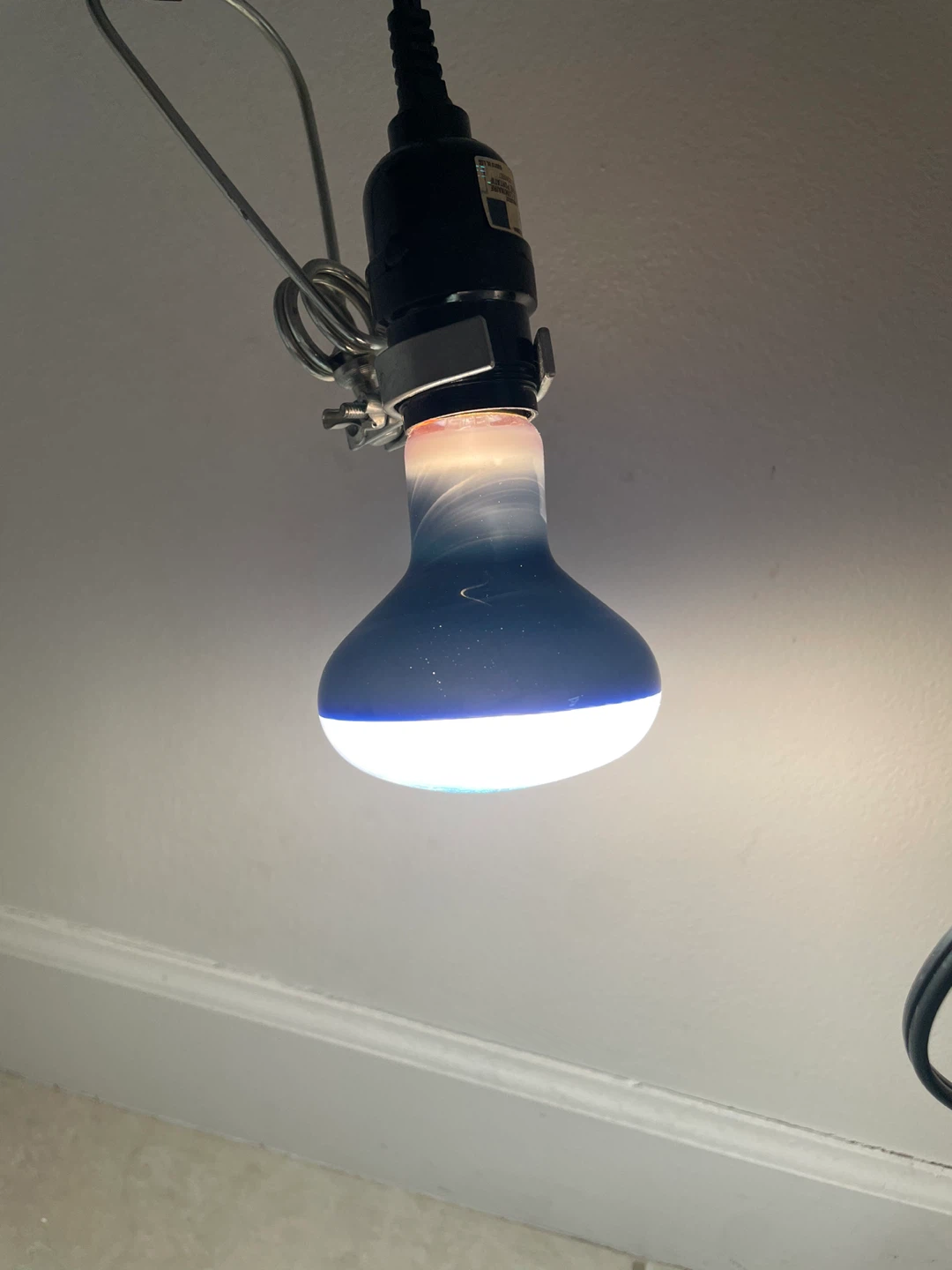 Plant Light Bulbs - photo 4