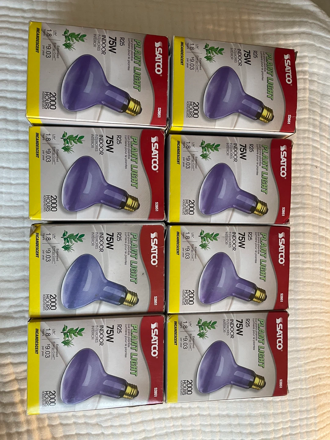 Plant Light Bulbs - photo 3
