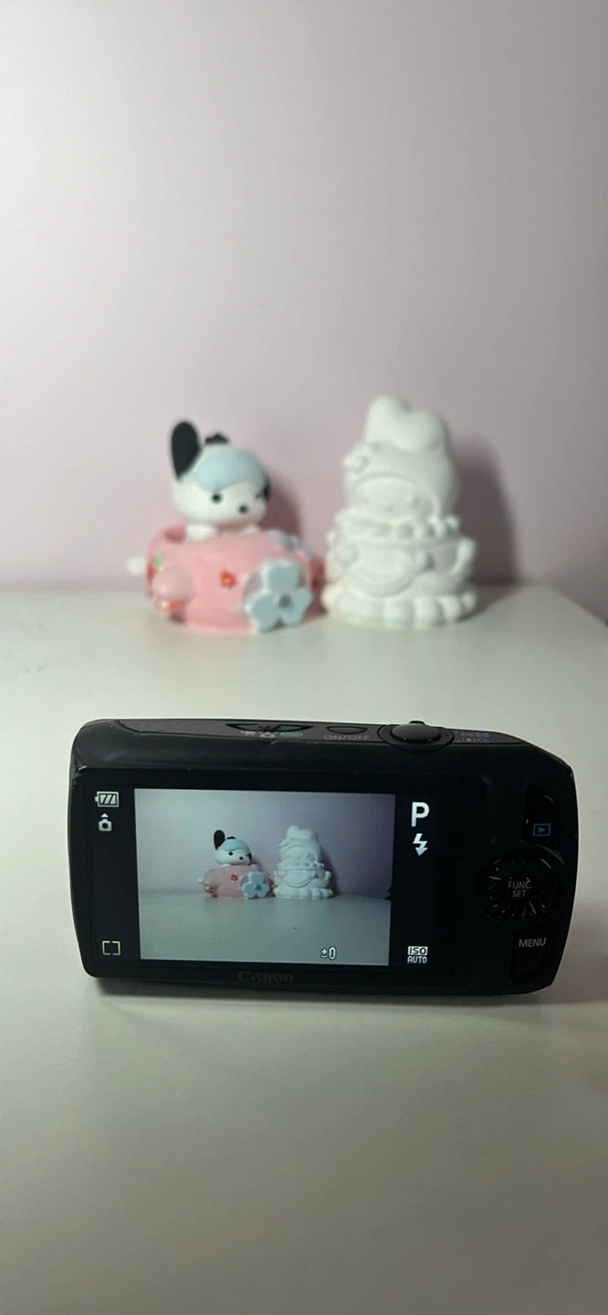 Canon IXY 30S/ IXUS 300HS - photo 4
