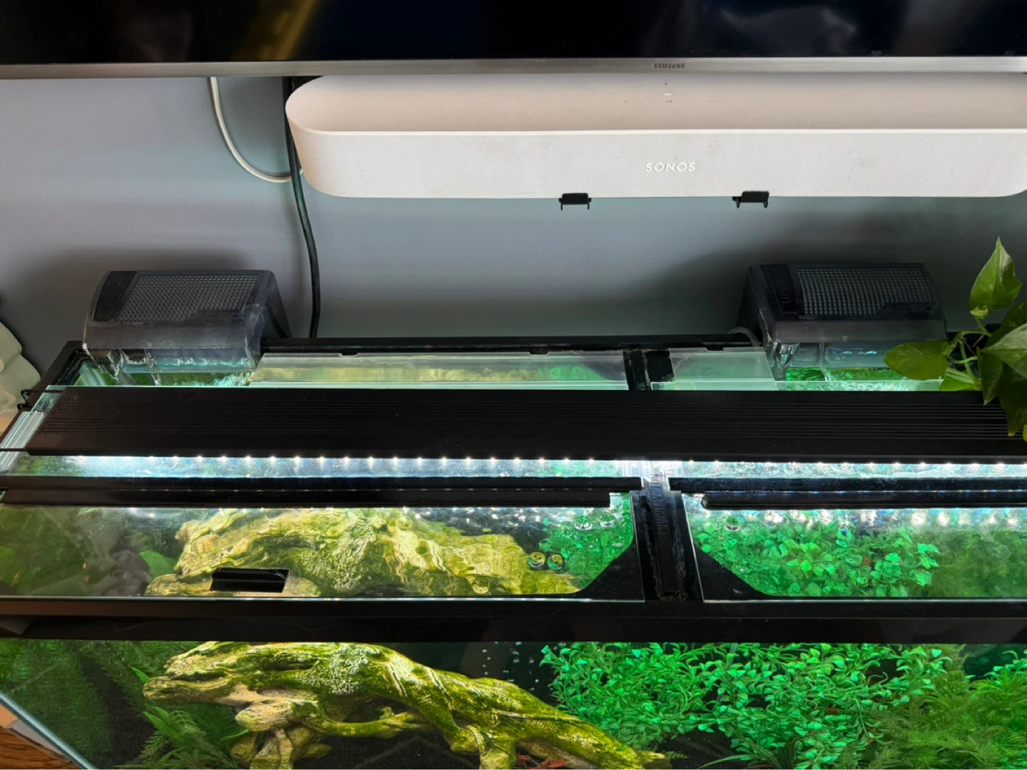 55 gallon aquarium + accessories - photo 2