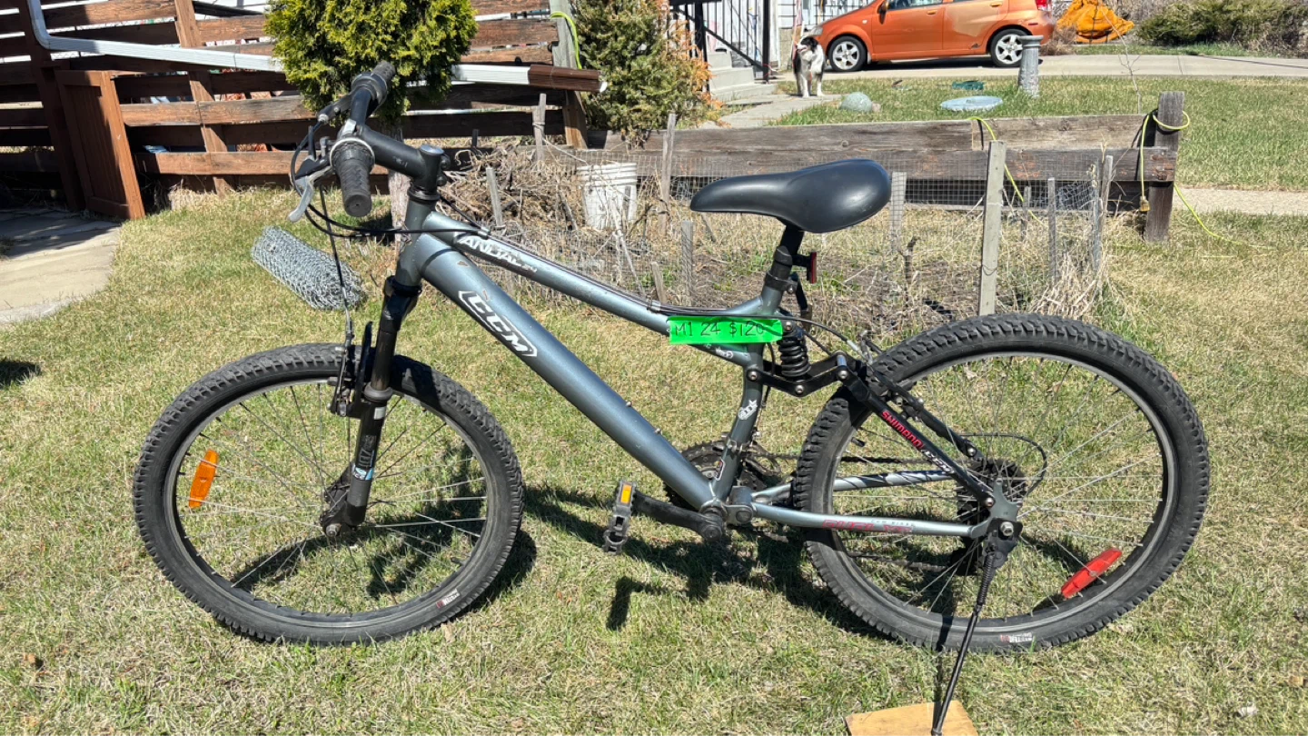 Mountain Bike - photo 2