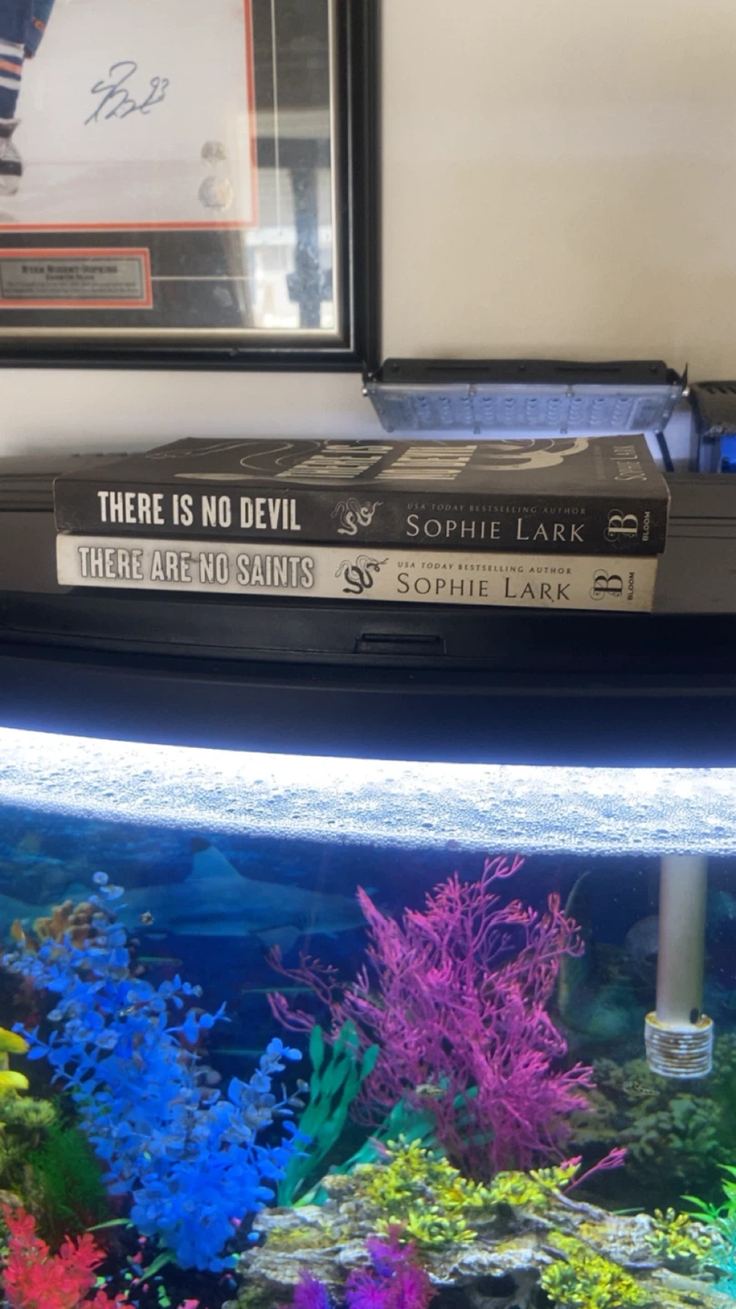 Sophie Lark "There Is No Devil" & "There Are No Saints" Books - photo 2
