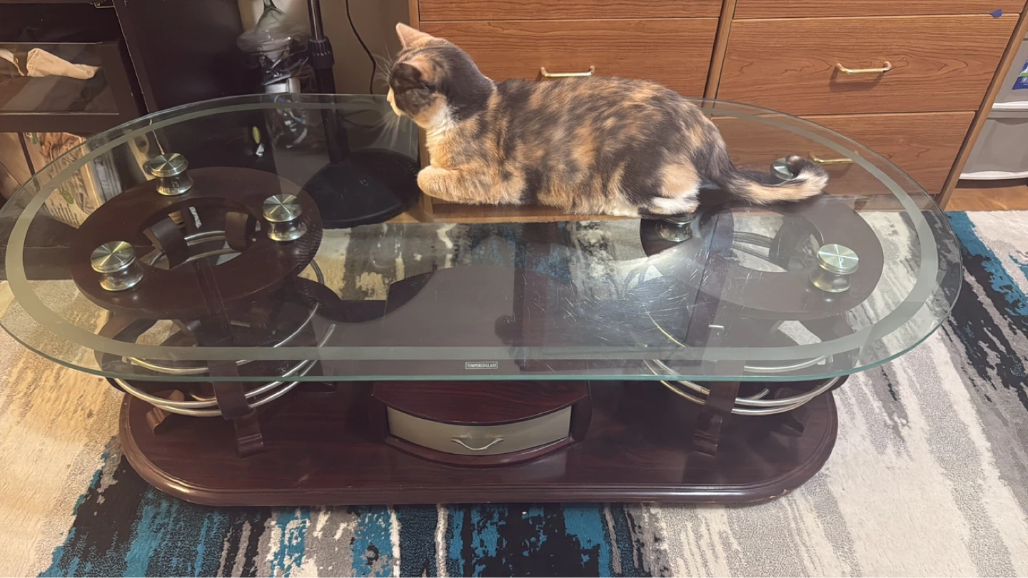 Tempered Glass Coffee Table with Wood and Metal Accents - photo 4