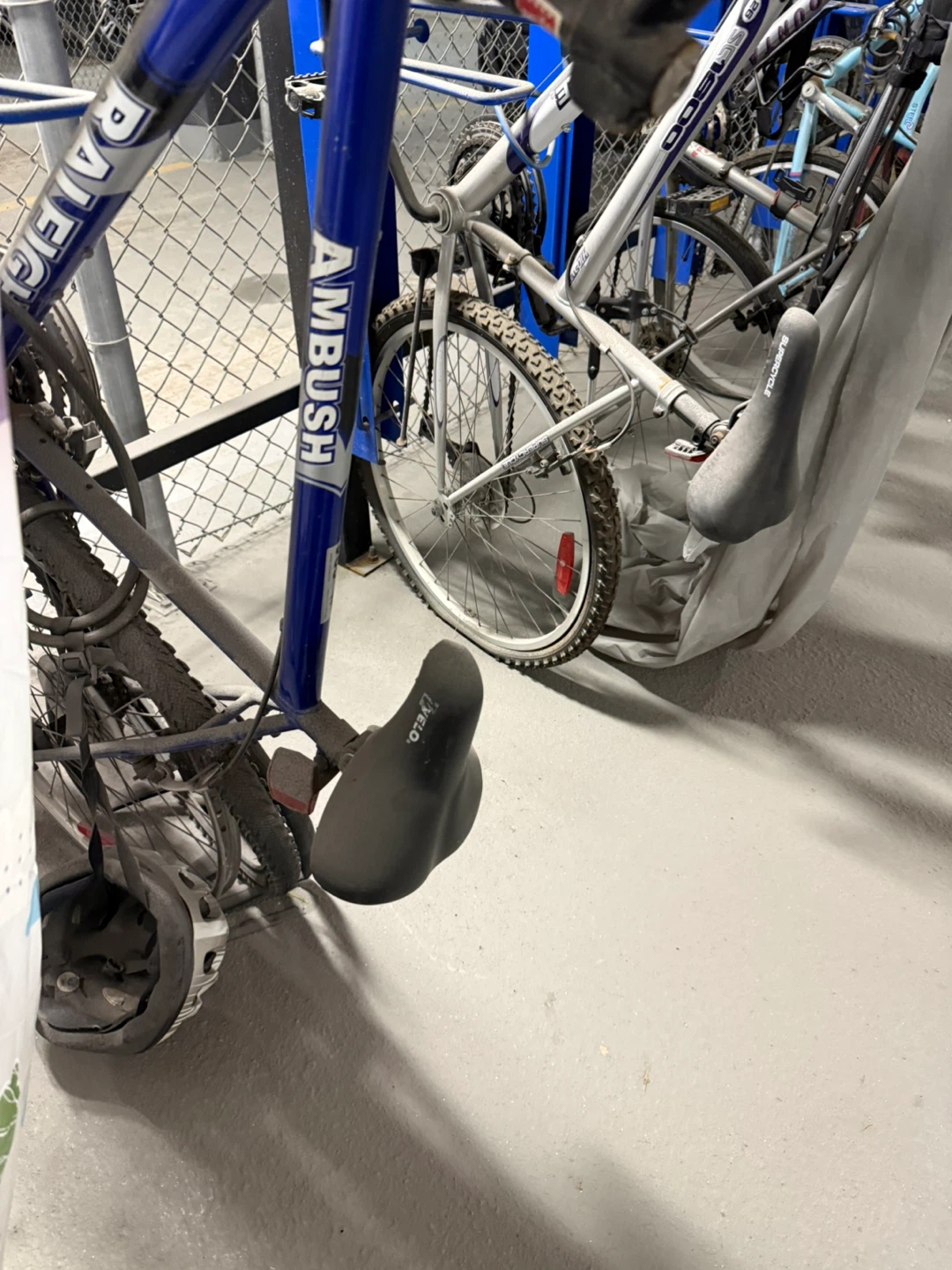 Raleigh Ambush Mountain Bike - Blue