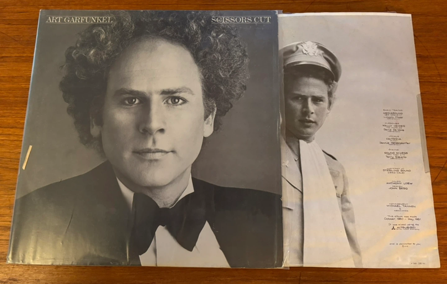 Art Garfunkel "Scissors Cut" Vinyl Record Album