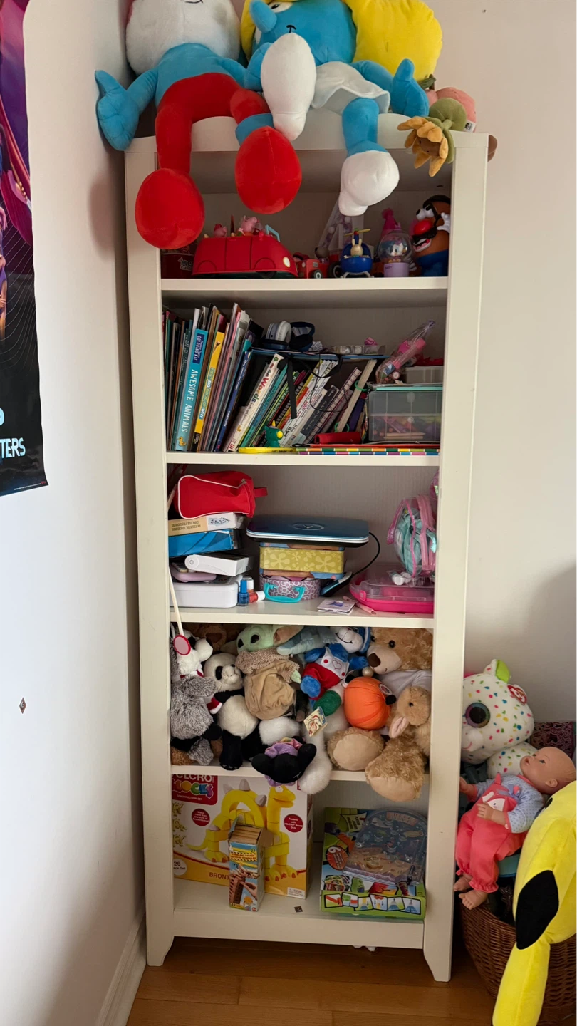 White Billy Bookcase