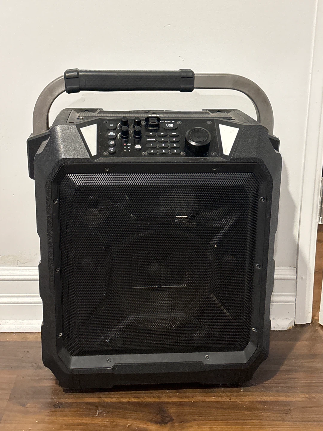 Portable PA Speaker