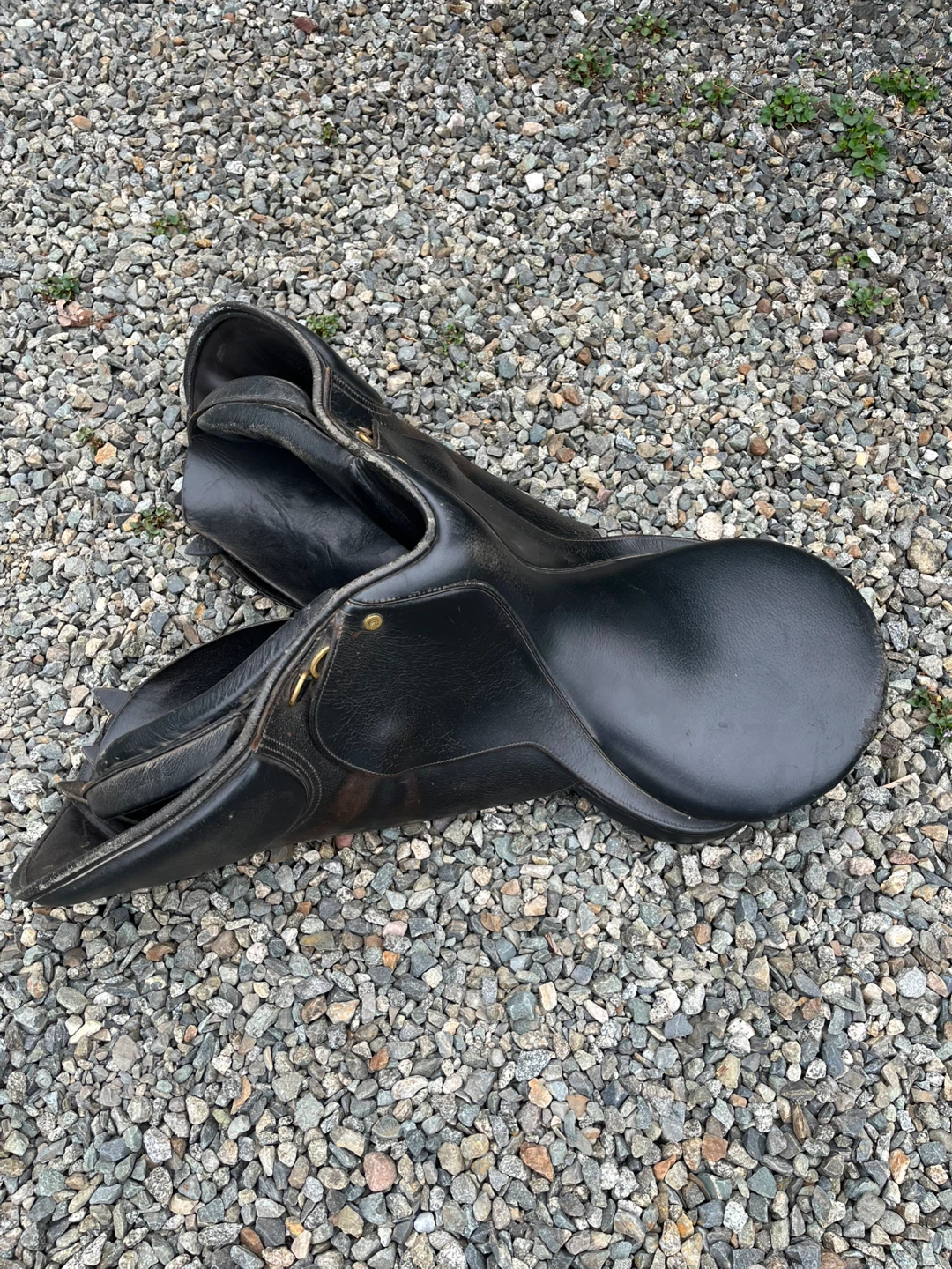 Black Leather English Riding Saddle Colliagate