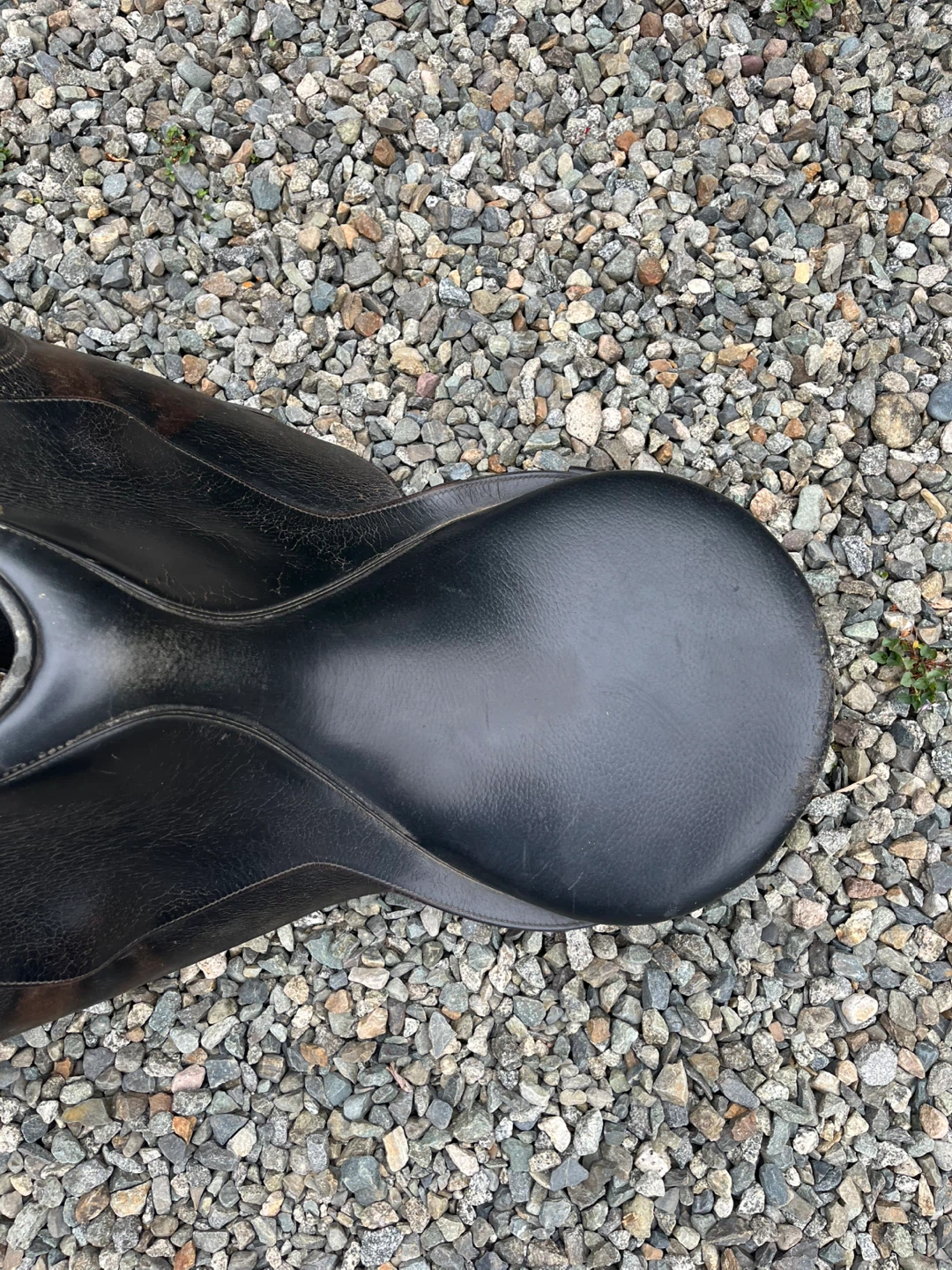 Black Leather English Riding Saddle Colliagate - photo 3