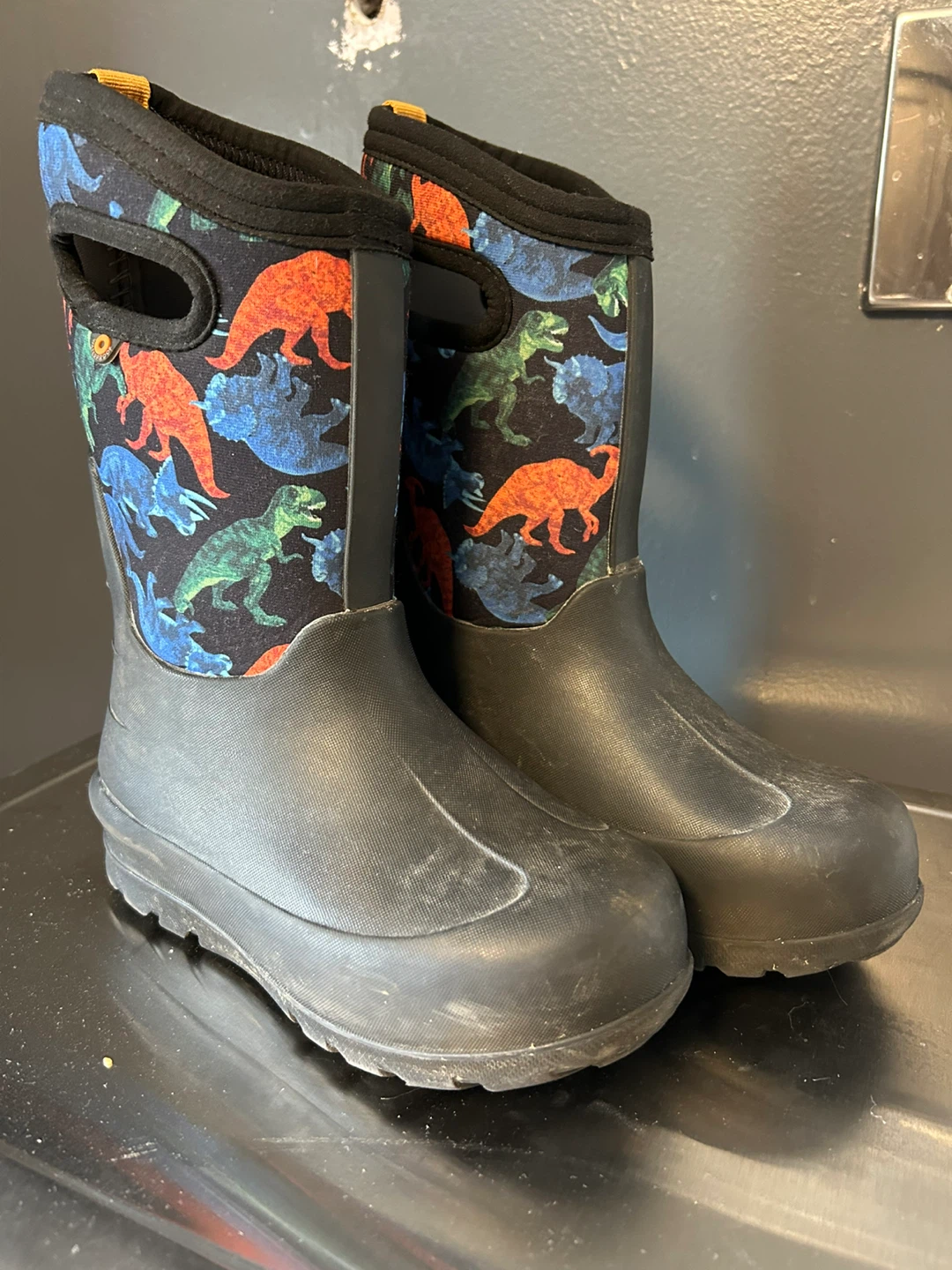 Bogs Kids Dinosaur Rain Boots