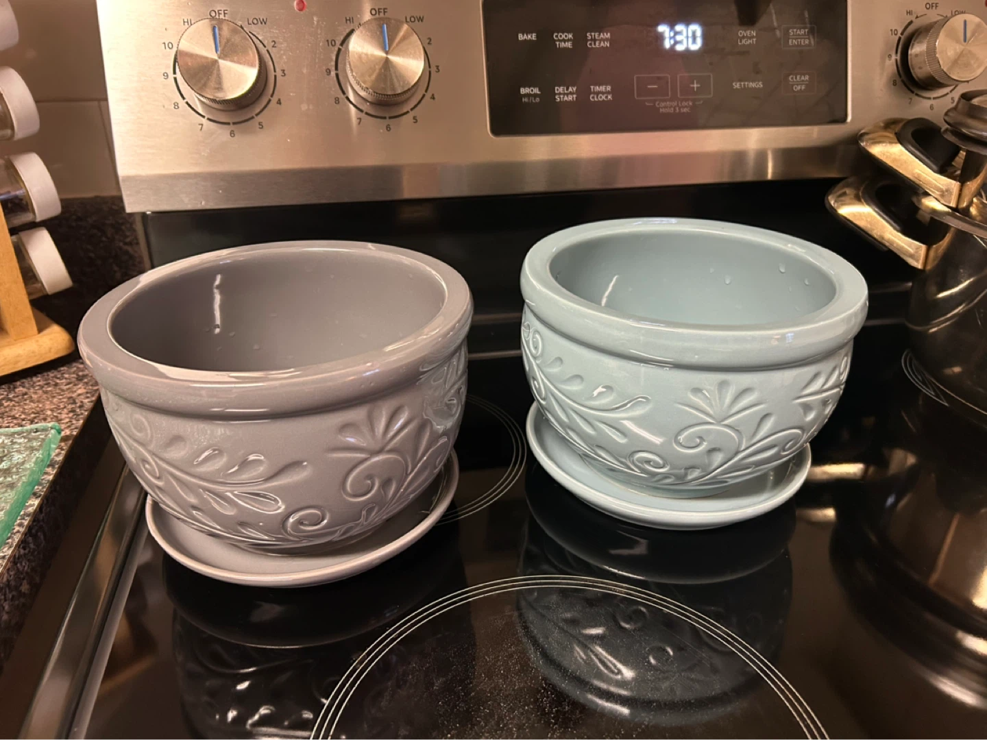 Set of 2 Decorative Ceramic Planters with Saucers