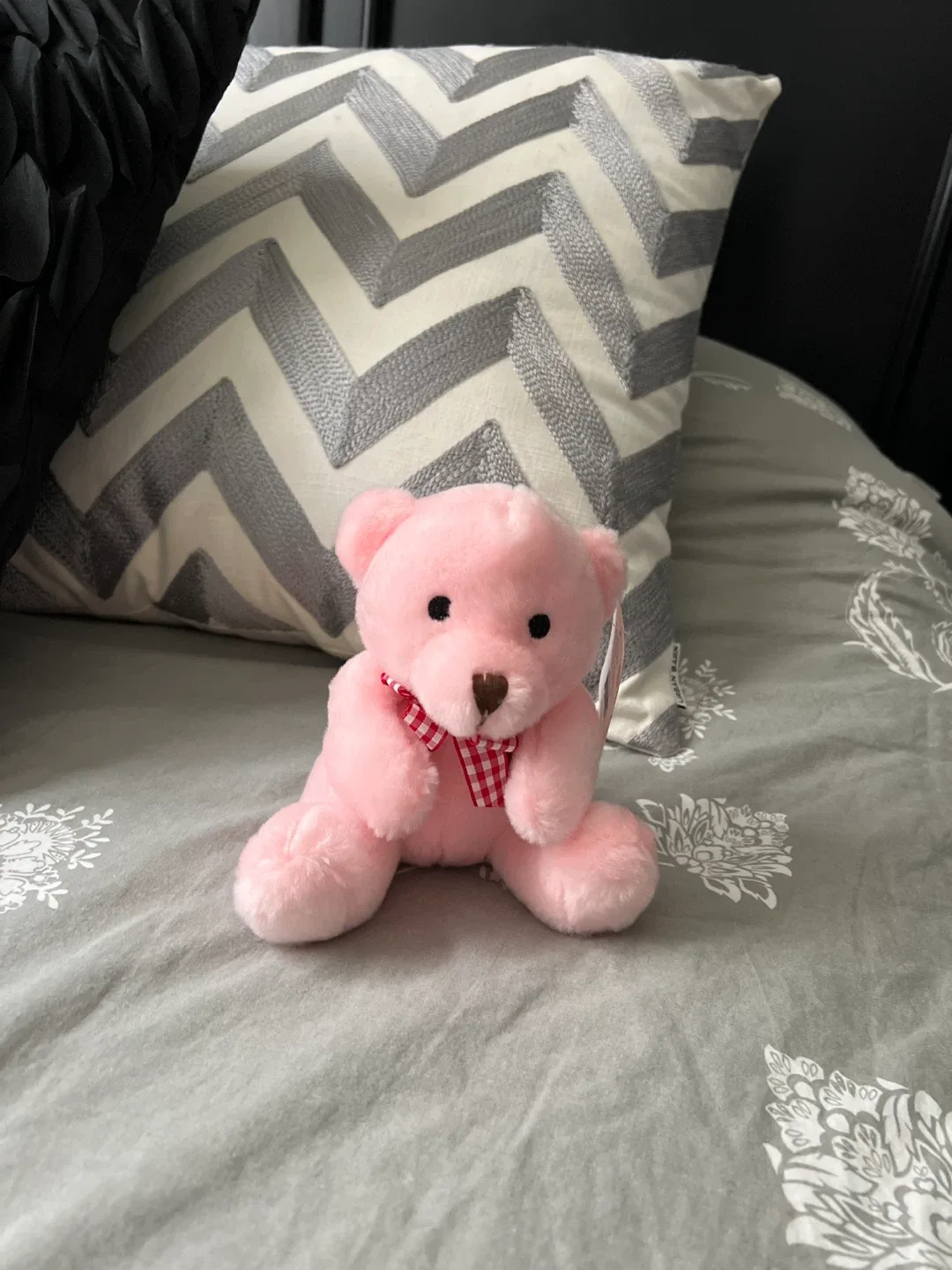 Pink Teddy Bear with Gingham Bow