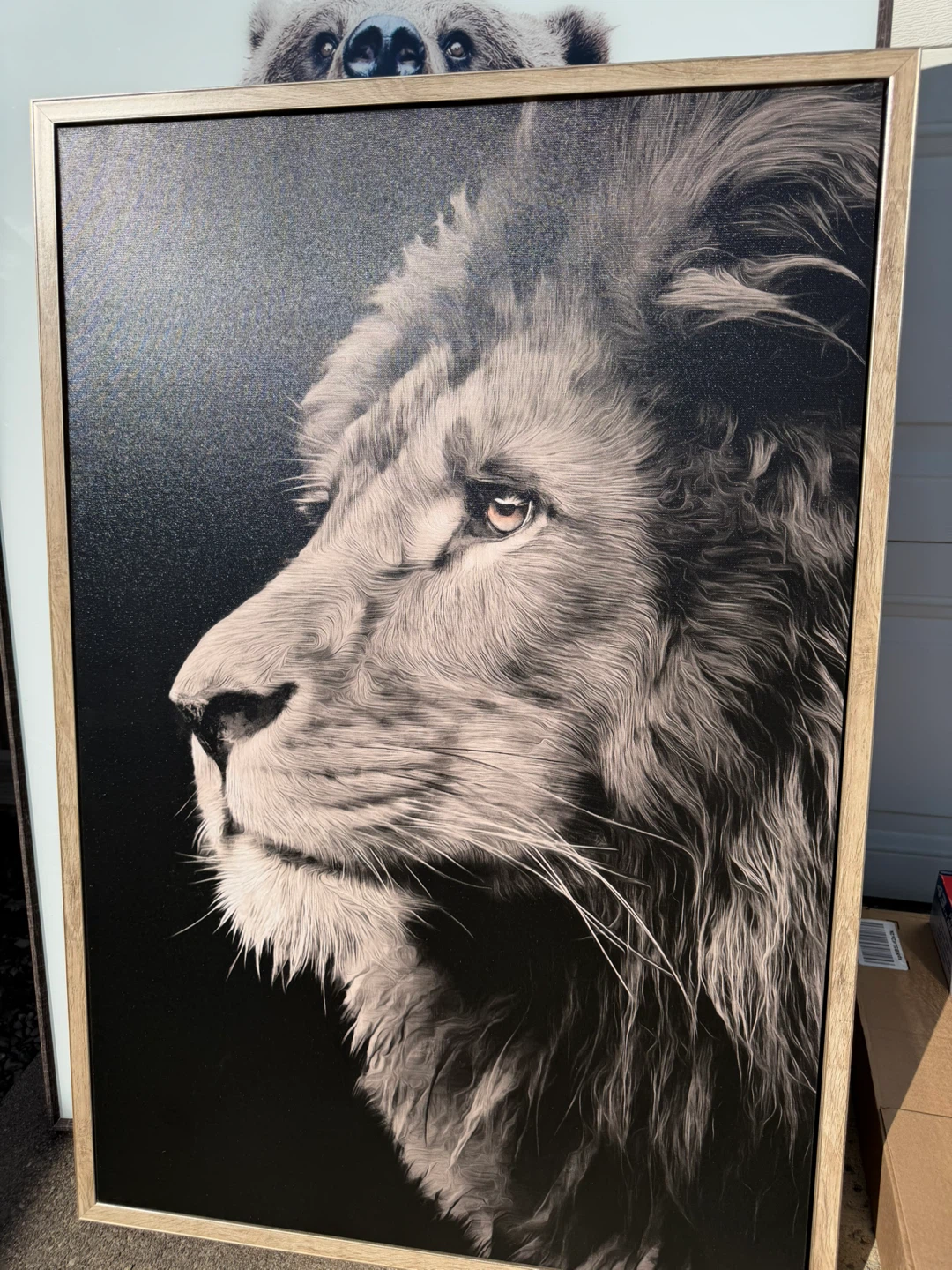 Framed Lion Wall Art