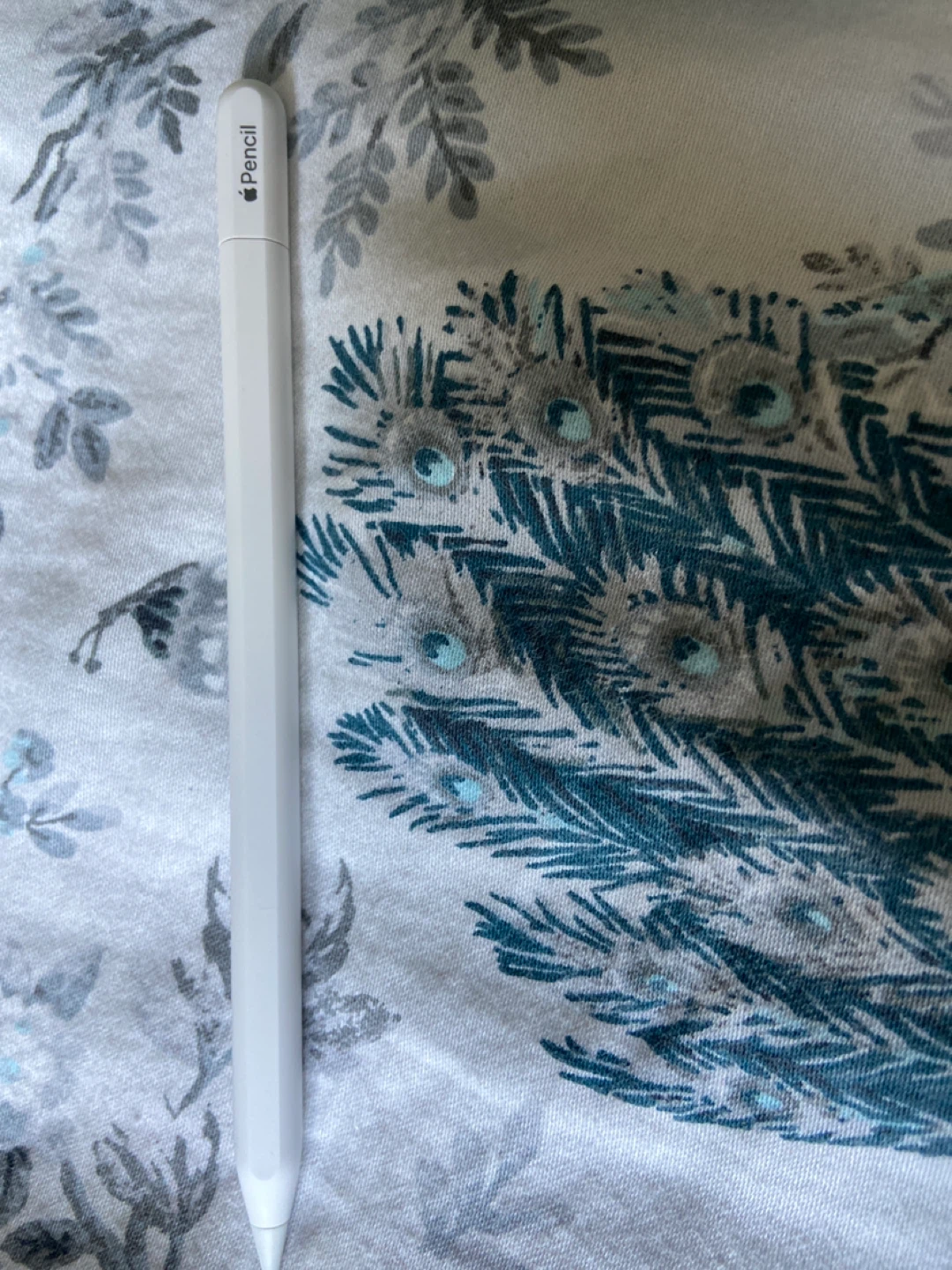 Apple Pencil (1st generation)