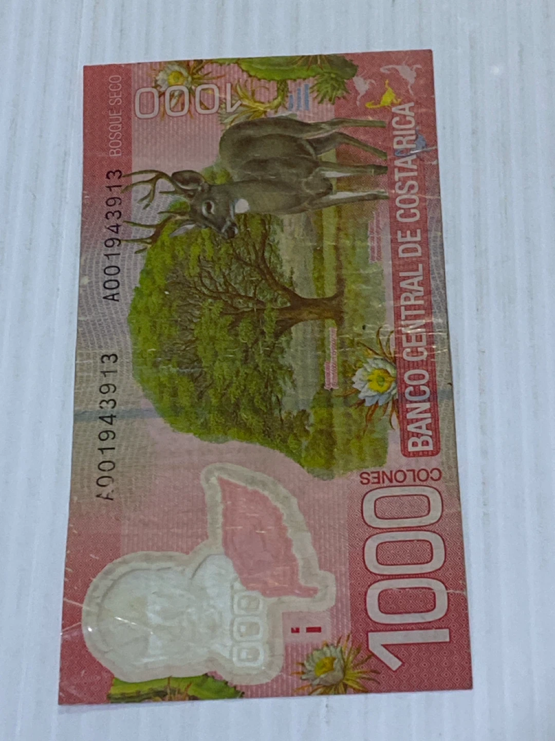 1000 Colones Costa Rica Banknote