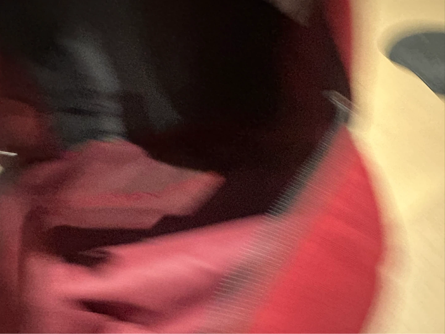 Jansport Backpack - Red and Black - photo 3