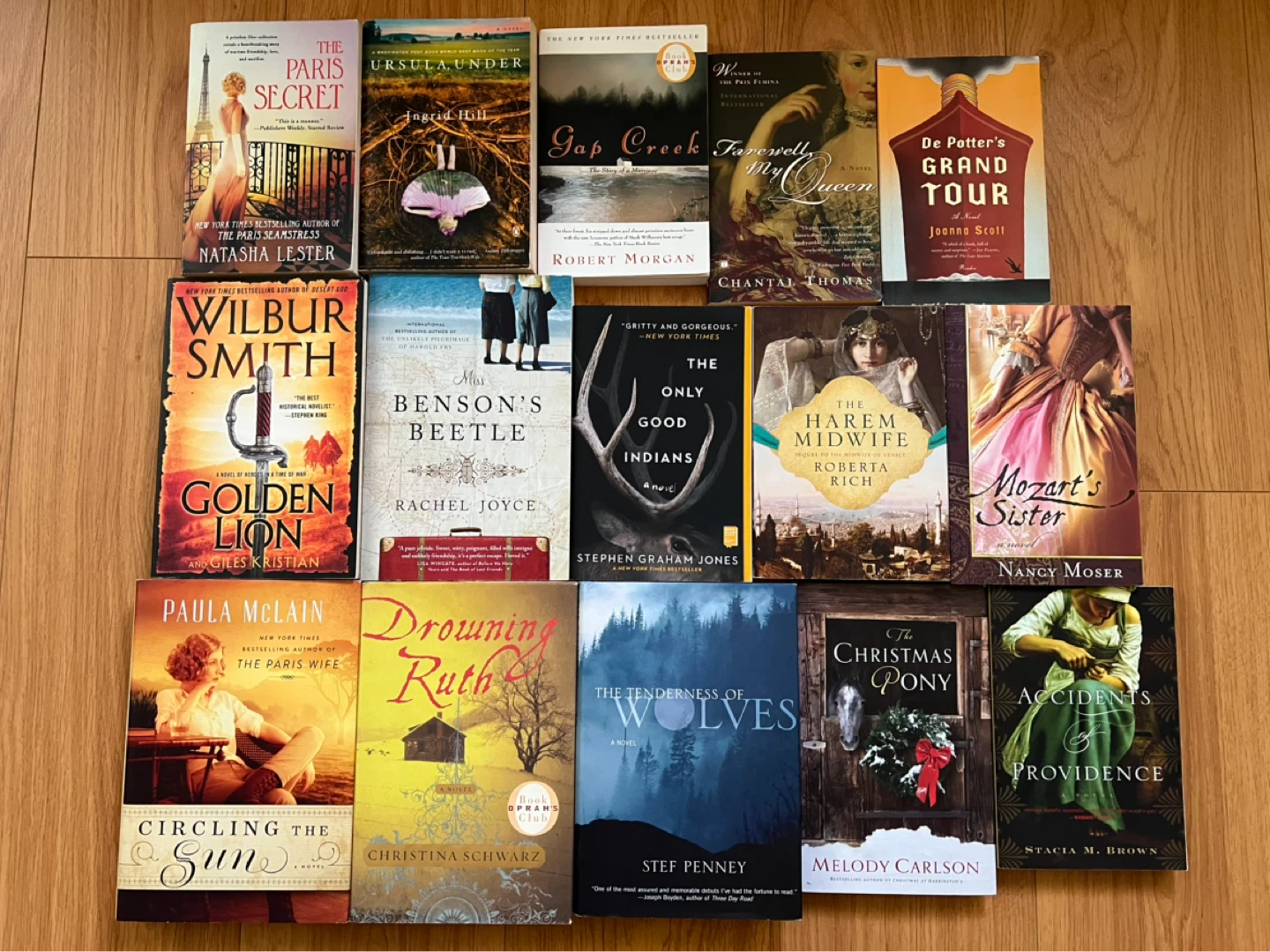 Historical Fiction Novels (3 for $10!)