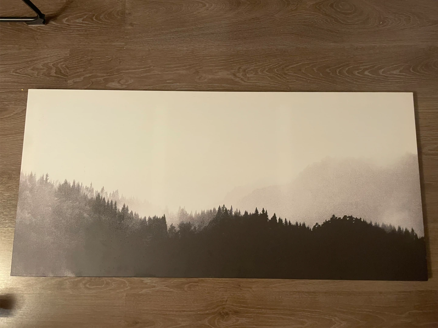 Black and White Forest Landscape Wall Art