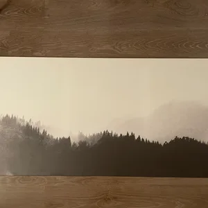Black and White Forest Landscape Wall Art