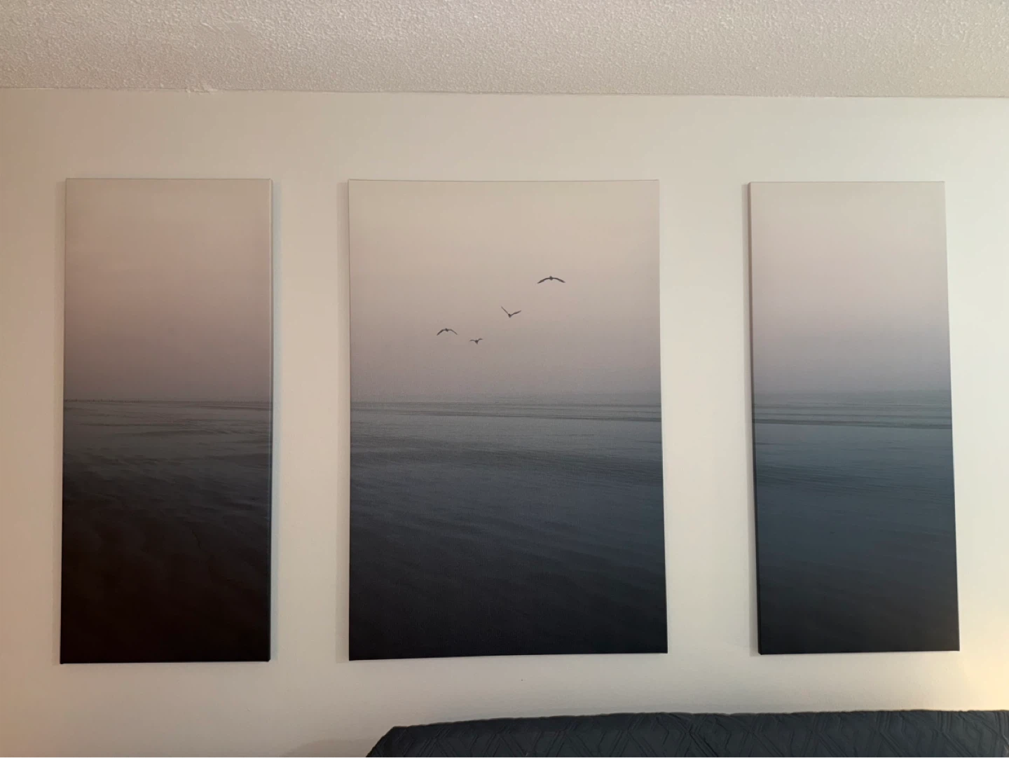Set of 3 Canvas Wall Art - Ocean Birds