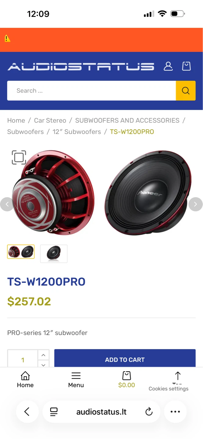 Pioneer TS-W1200PRO 12" Pro-Series Subwoofer