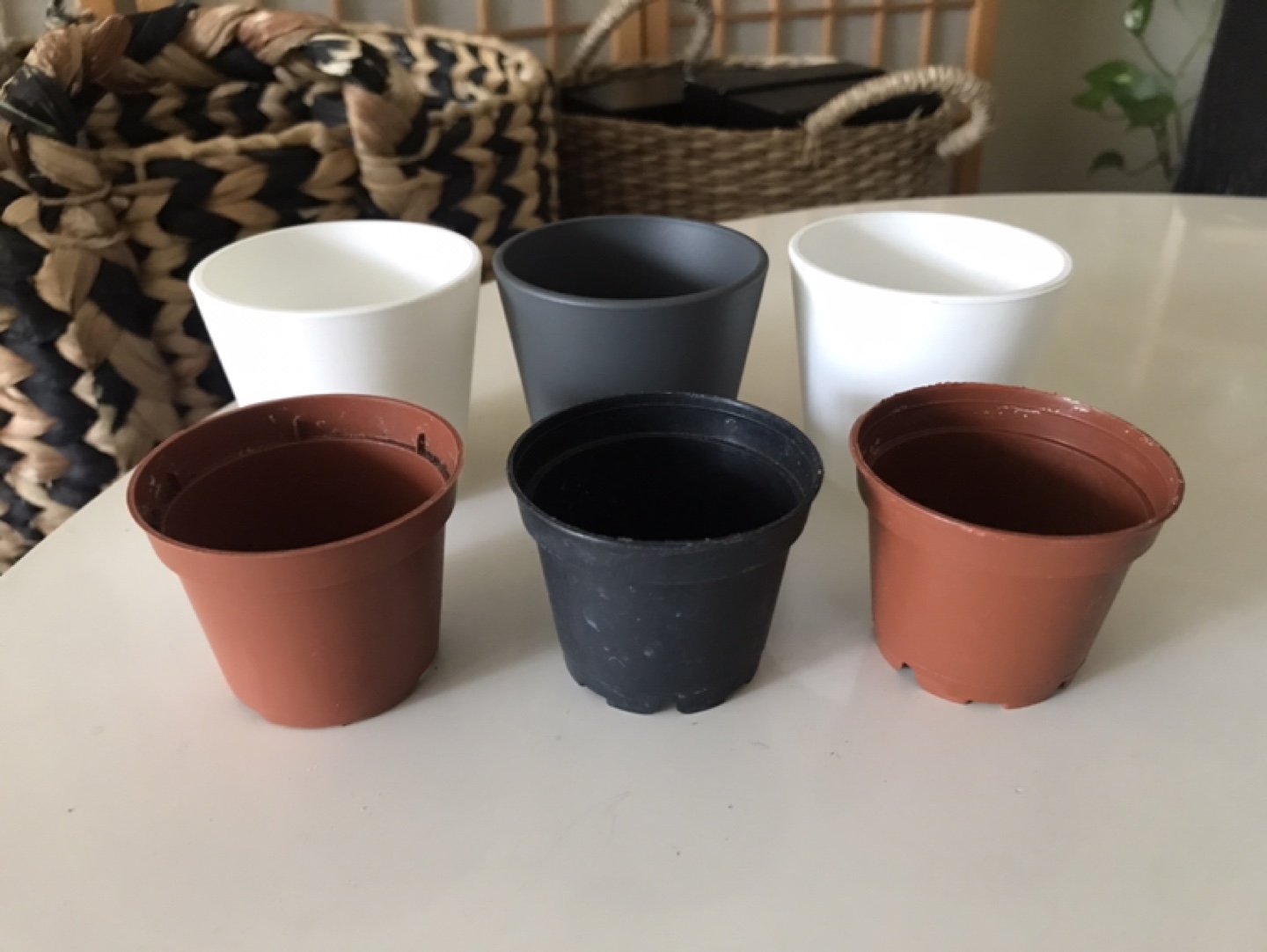 3 Glass Plant Pots Planters + 3 ✨FREE Inserts (Succulents, etc) - photo 2