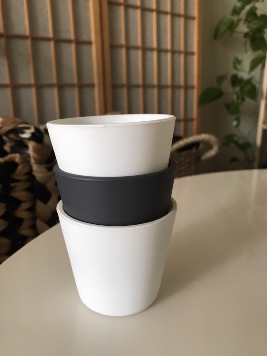 3 Glass Plant Pots Planters + 3 ✨FREE Inserts (Succulents, etc) - photo 3