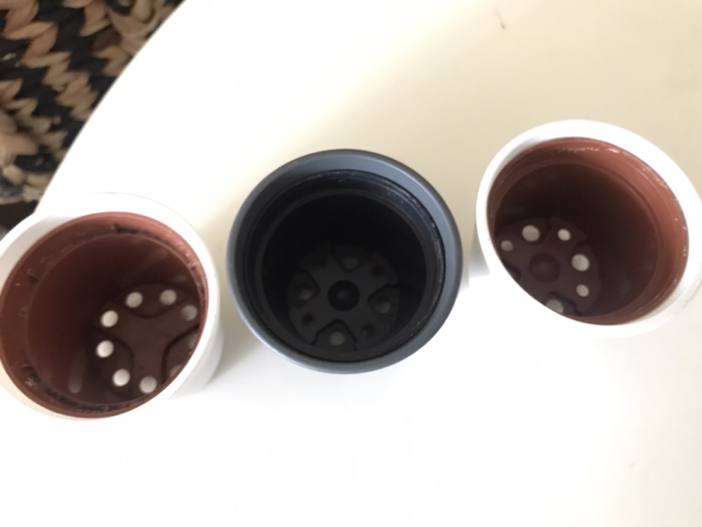 3 Glass Plant Pots Planters + 3 ✨FREE Inserts (Succulents, etc) - photo 4