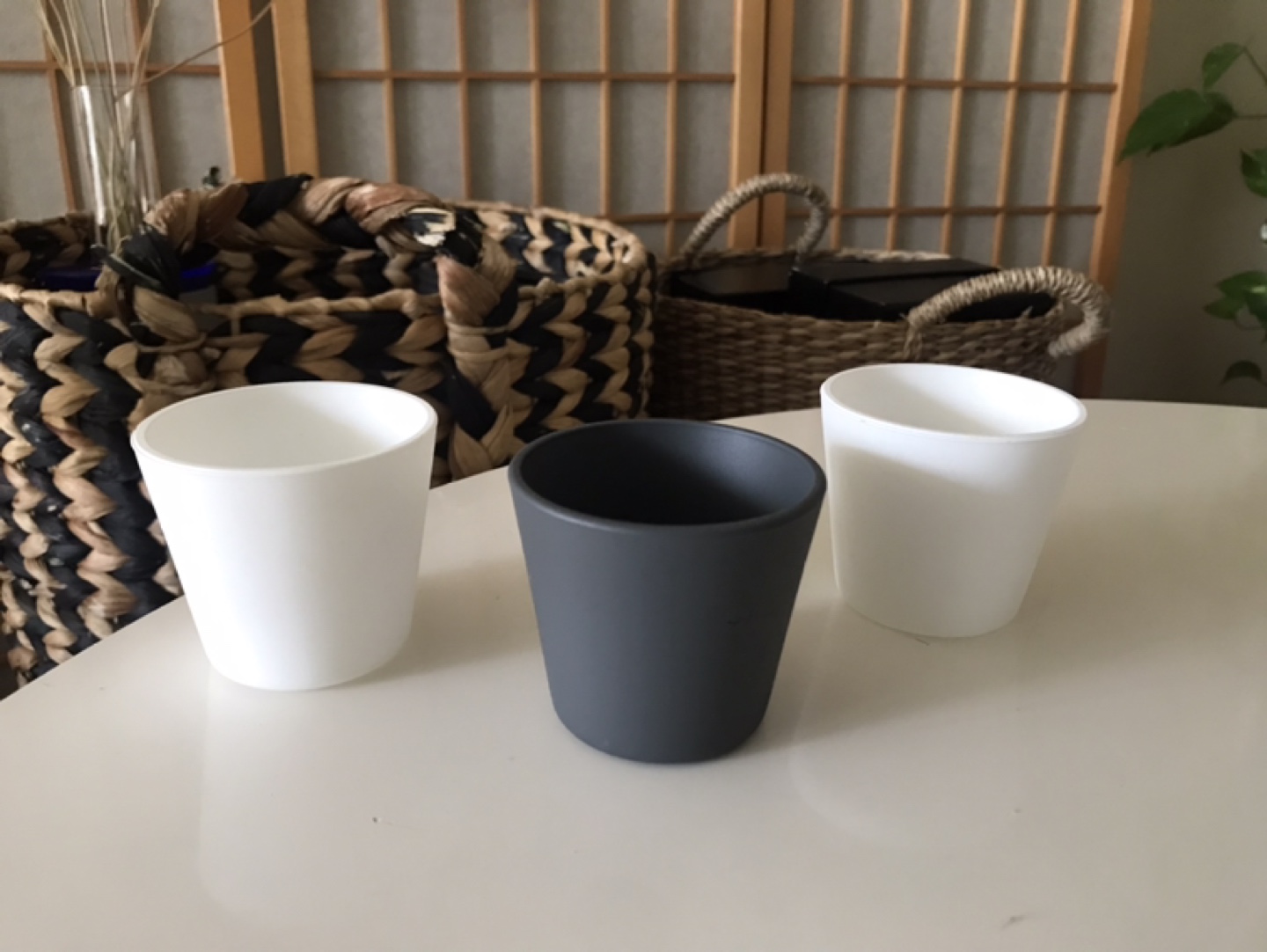3 Glass Plant Pots Planters + 3 ✨FREE Inserts (Succulents, etc) - photo 5